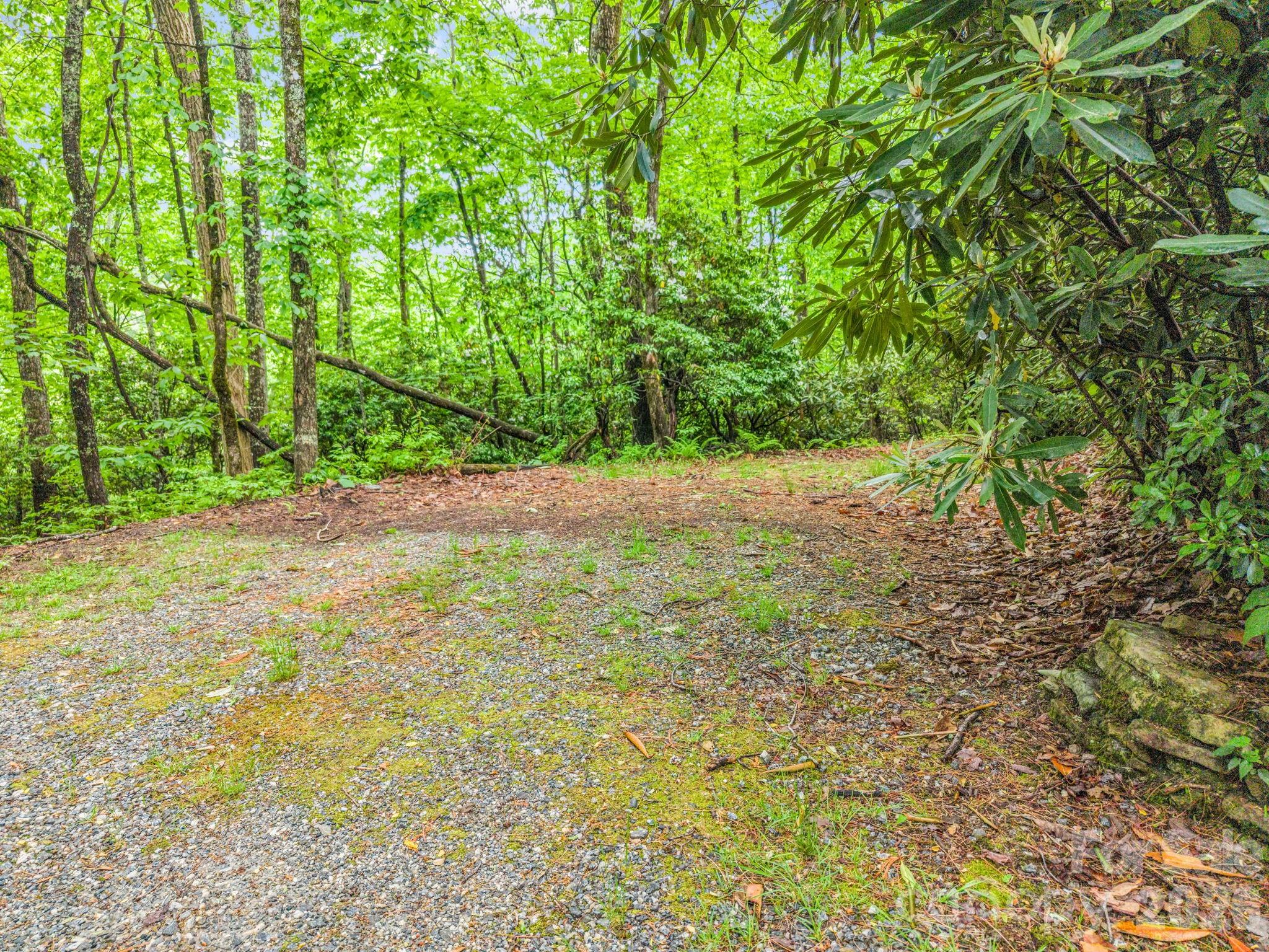 Tbd Toxaway Trail 14/3 Property Photo 16