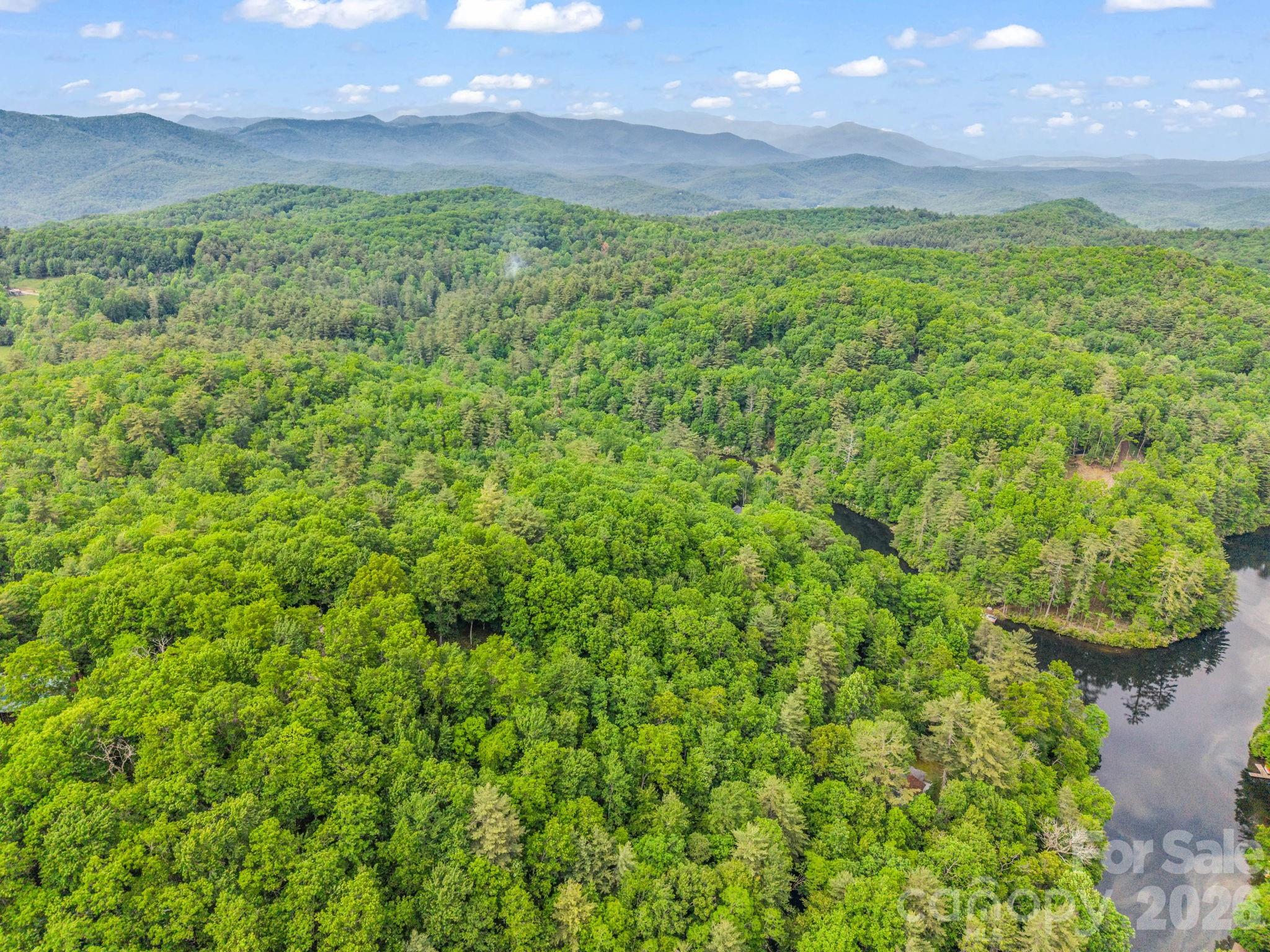 Tbd Toxaway Trail 14/3 Property Photo 18