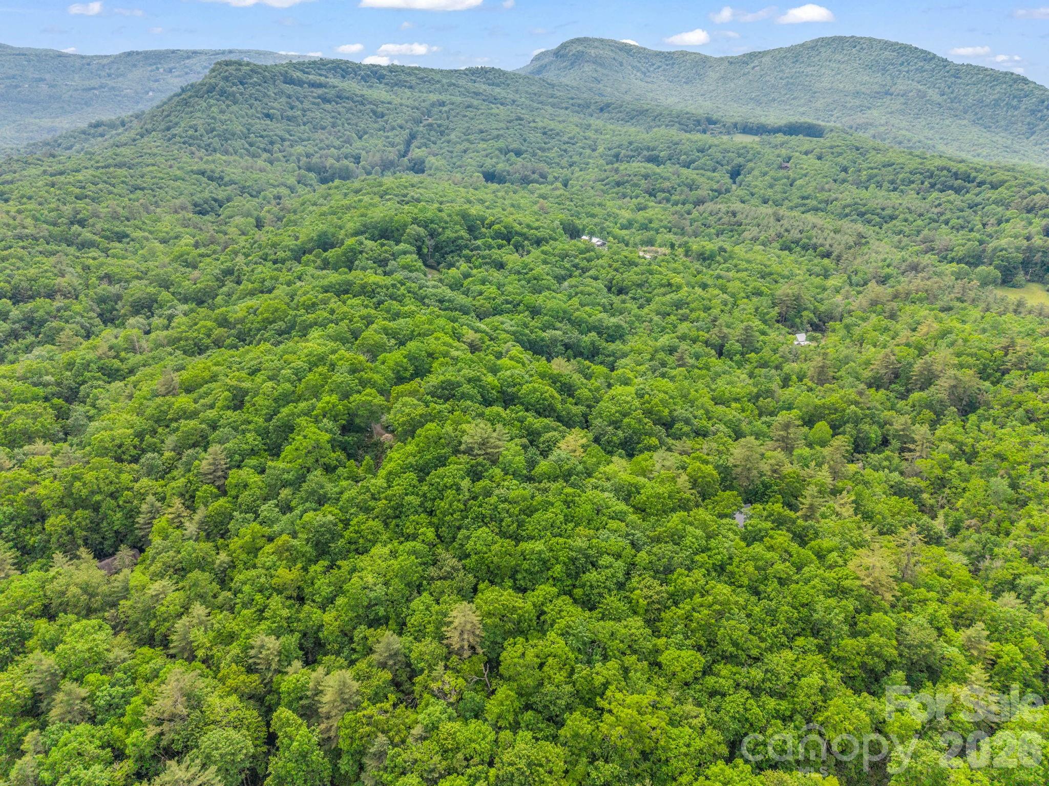 Tbd Toxaway Trail 14/3 Property Photo 24