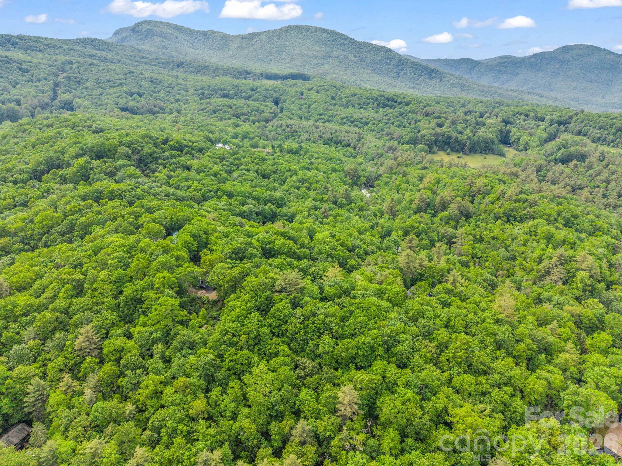 Tbd Toxaway Trail 14/3 Property Photo 25