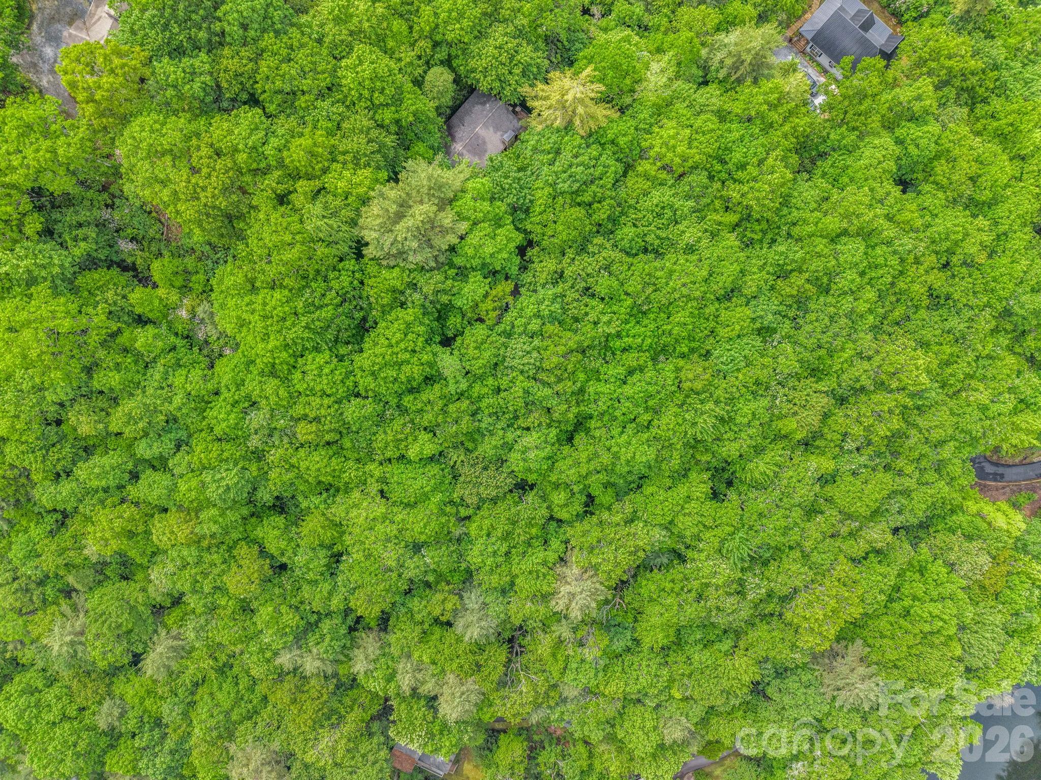 Tbd Toxaway Trail 14/3 Property Photo 26