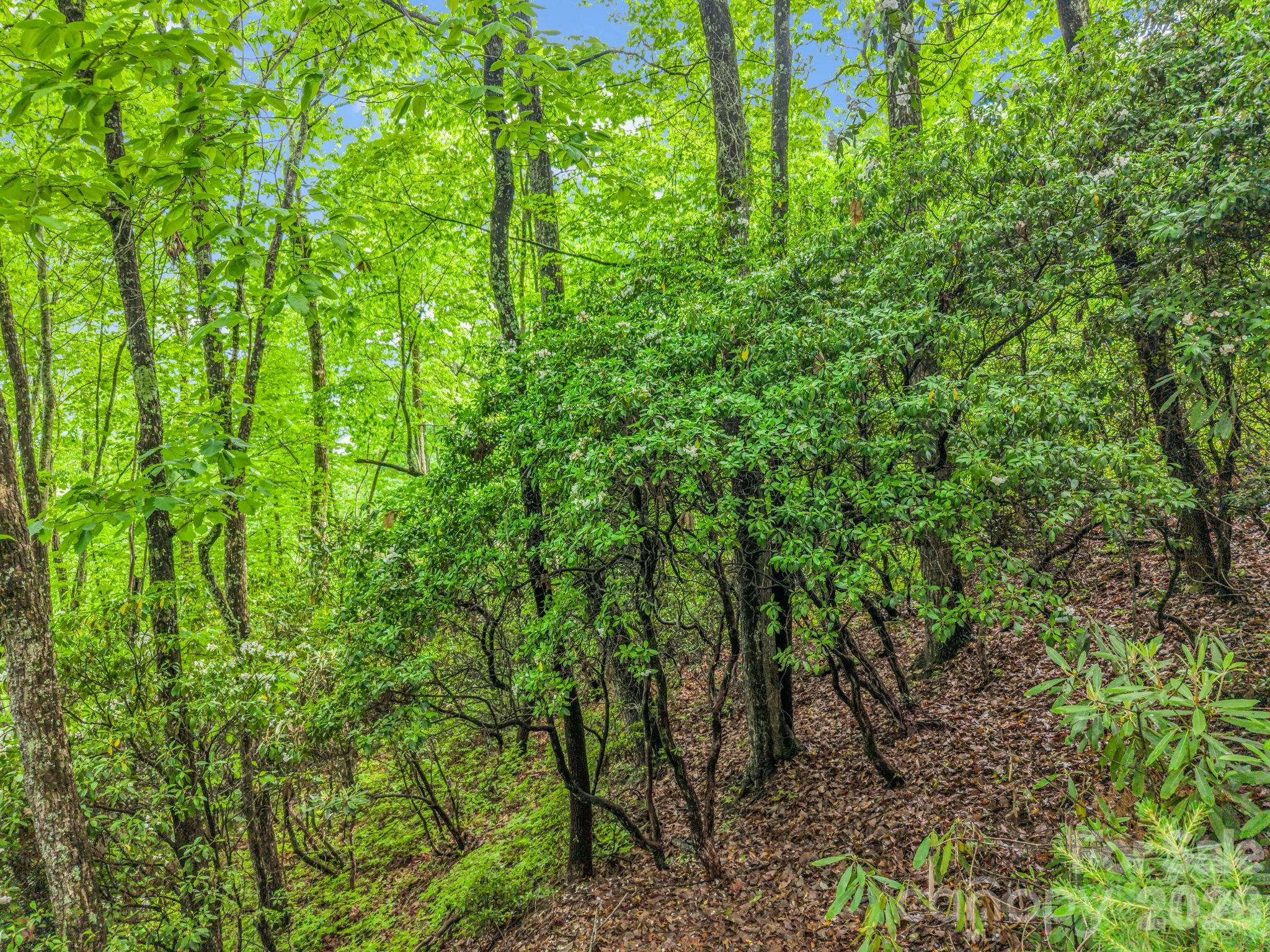 Tbd Toxaway Trail 14/3 Property Photo 27