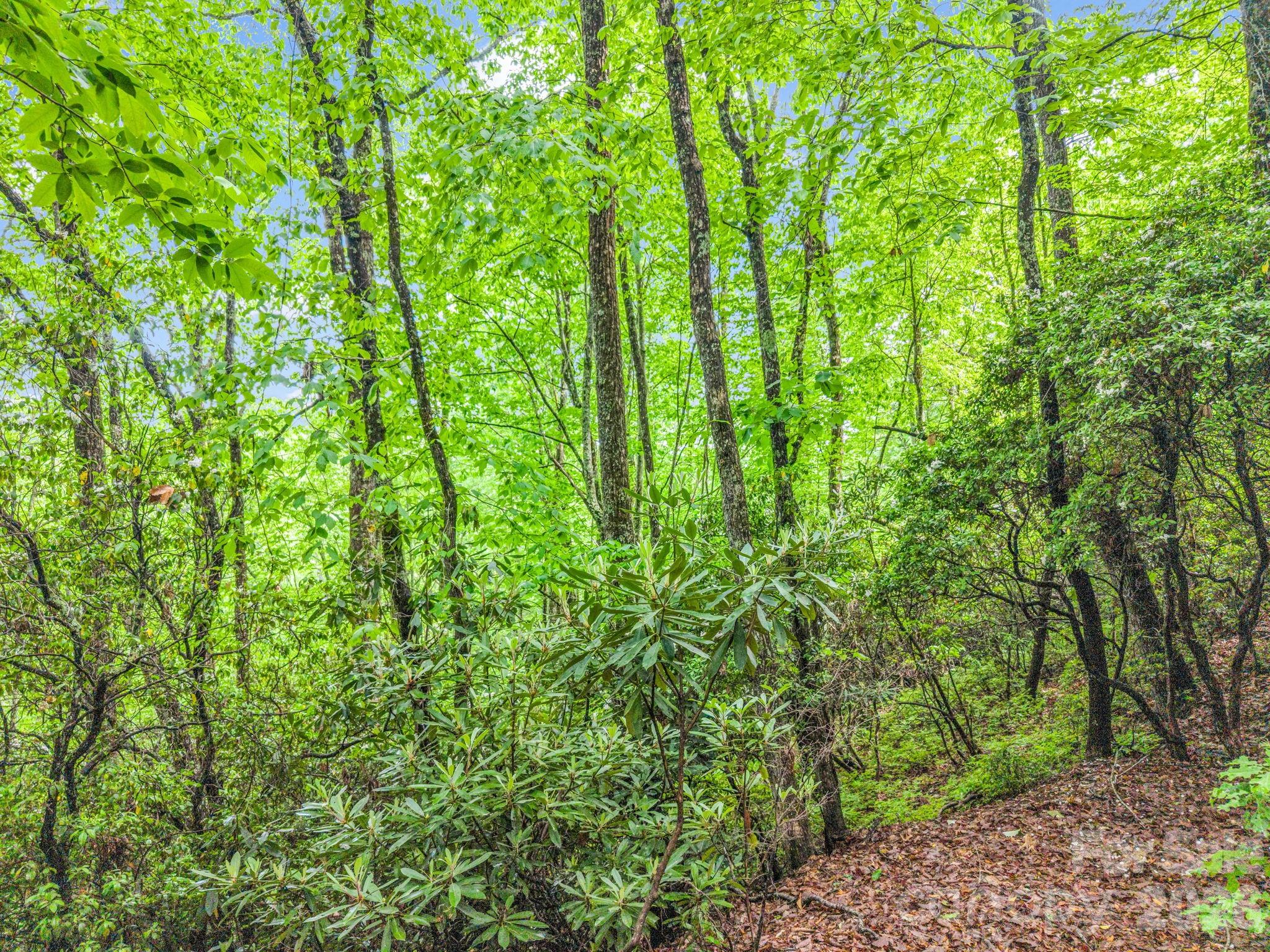 Tbd Toxaway Trail 14/3 Property Photo 28