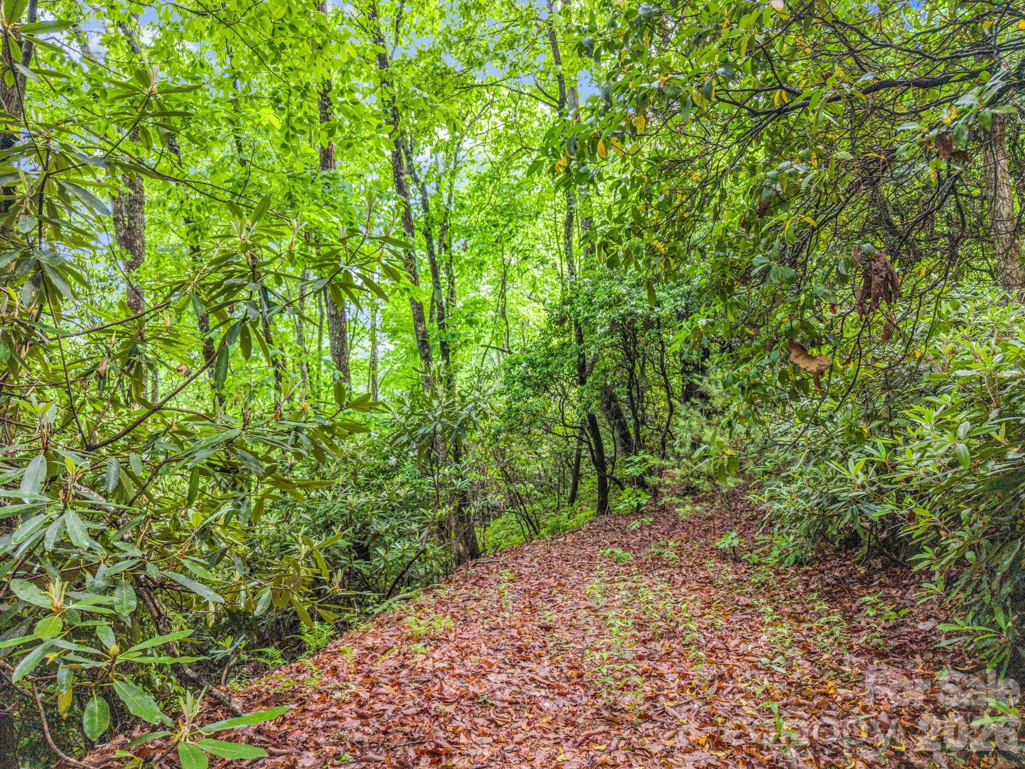 Tbd Toxaway Trail 14/3 Property Photo 29