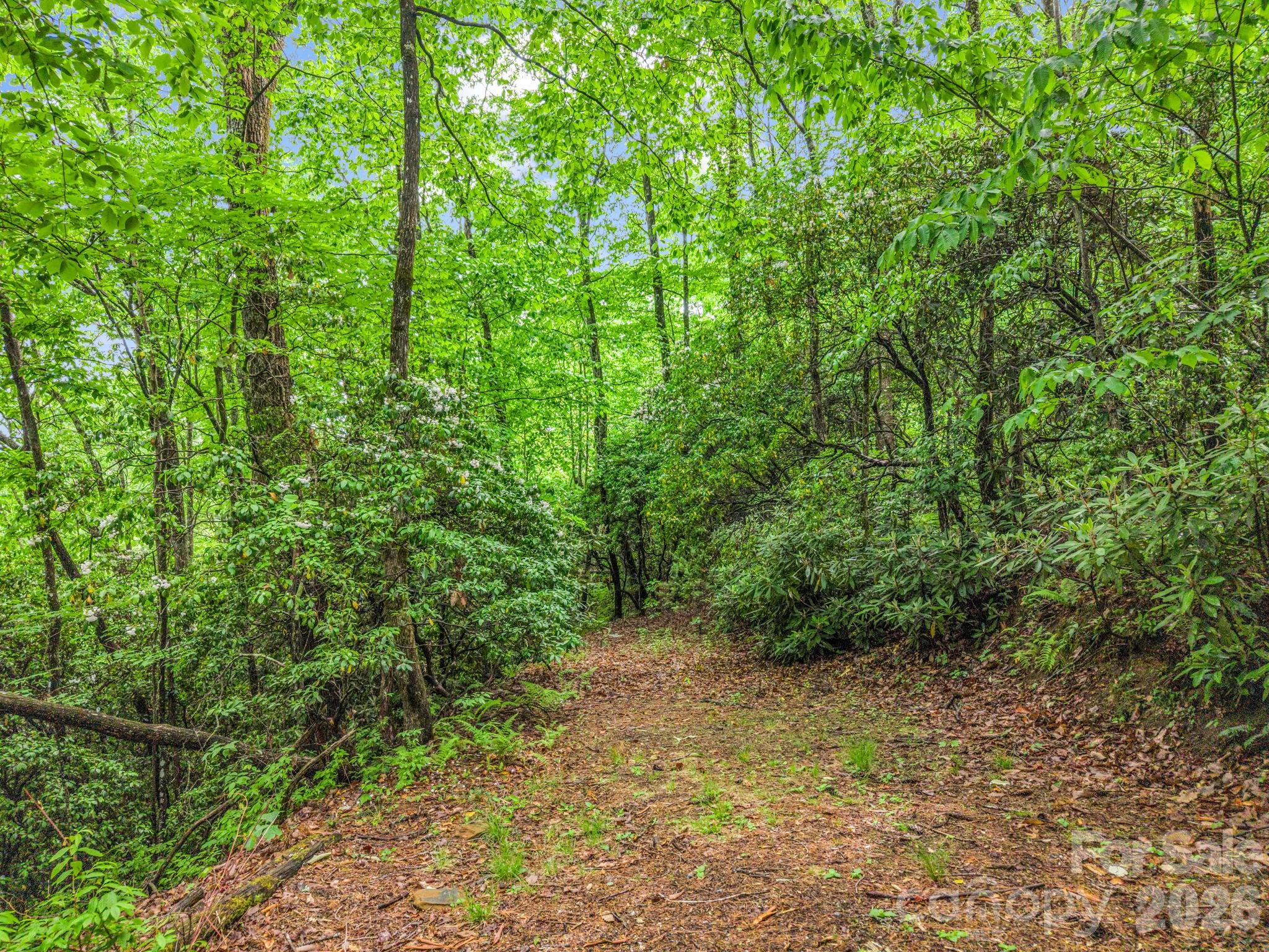 Tbd Toxaway Trail 14/3 Property Photo 30