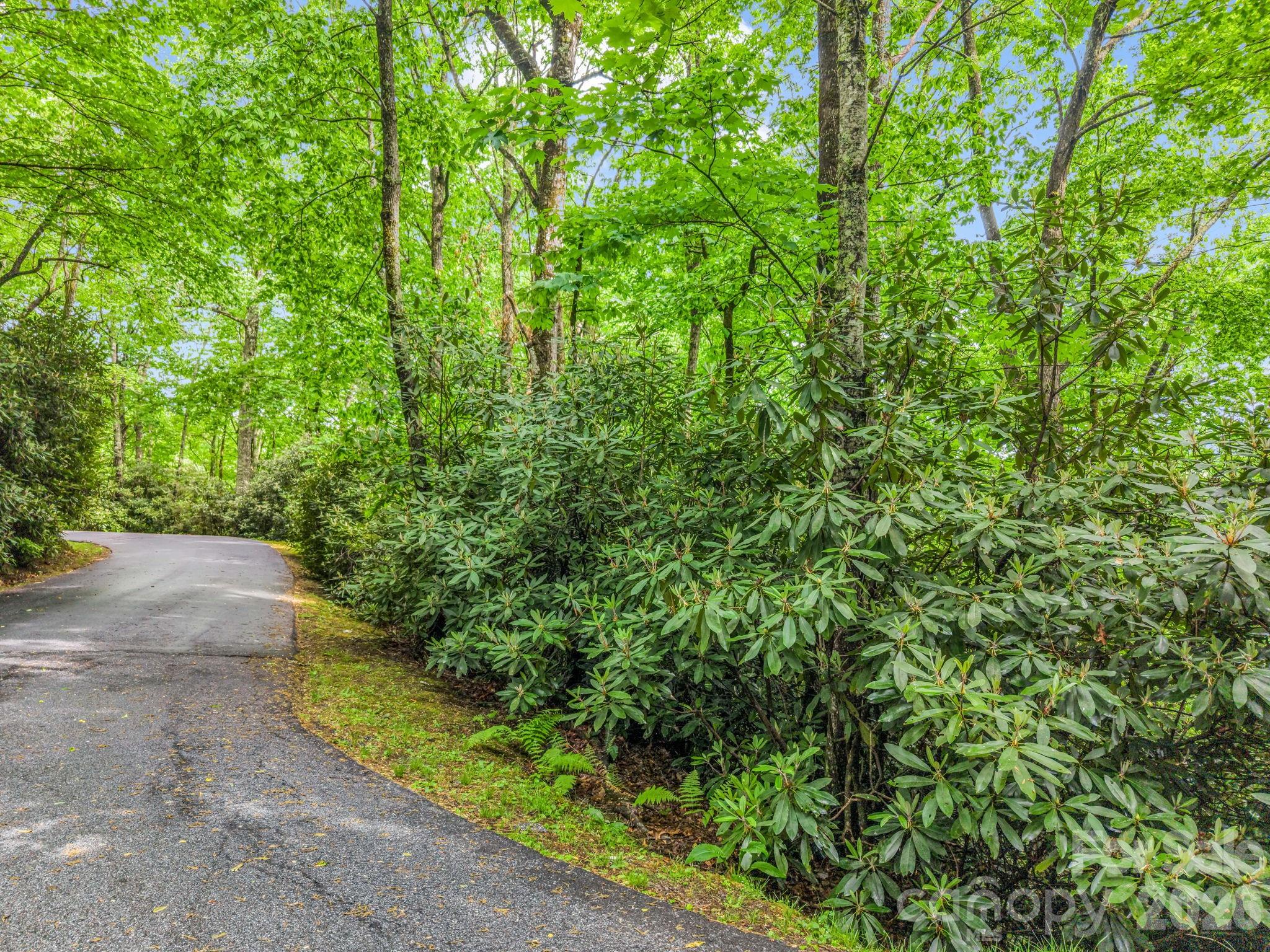 Tbd Toxaway Trail 14/3 Property Photo 31