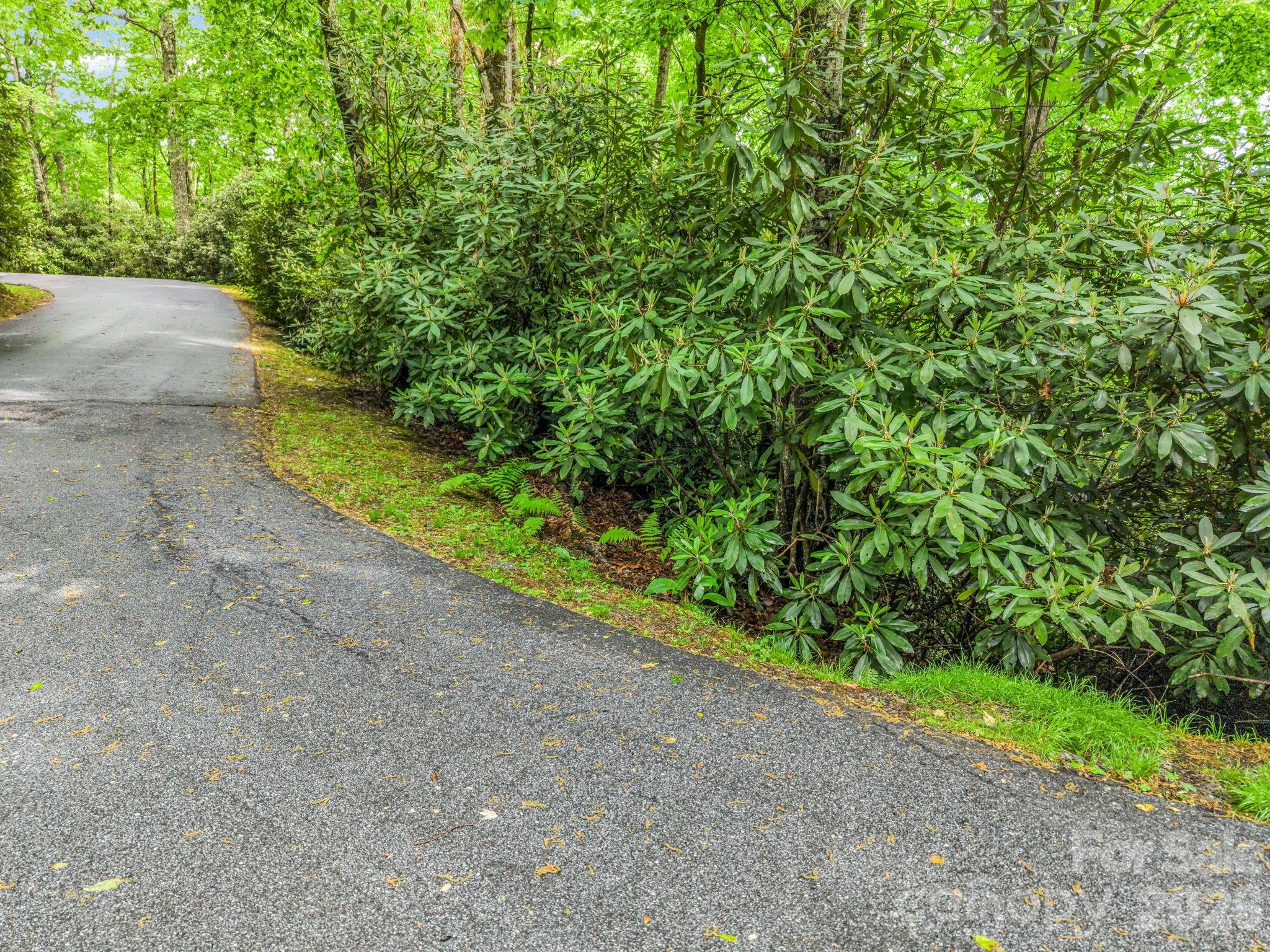 Tbd Toxaway Trail 14/3 Property Photo 33