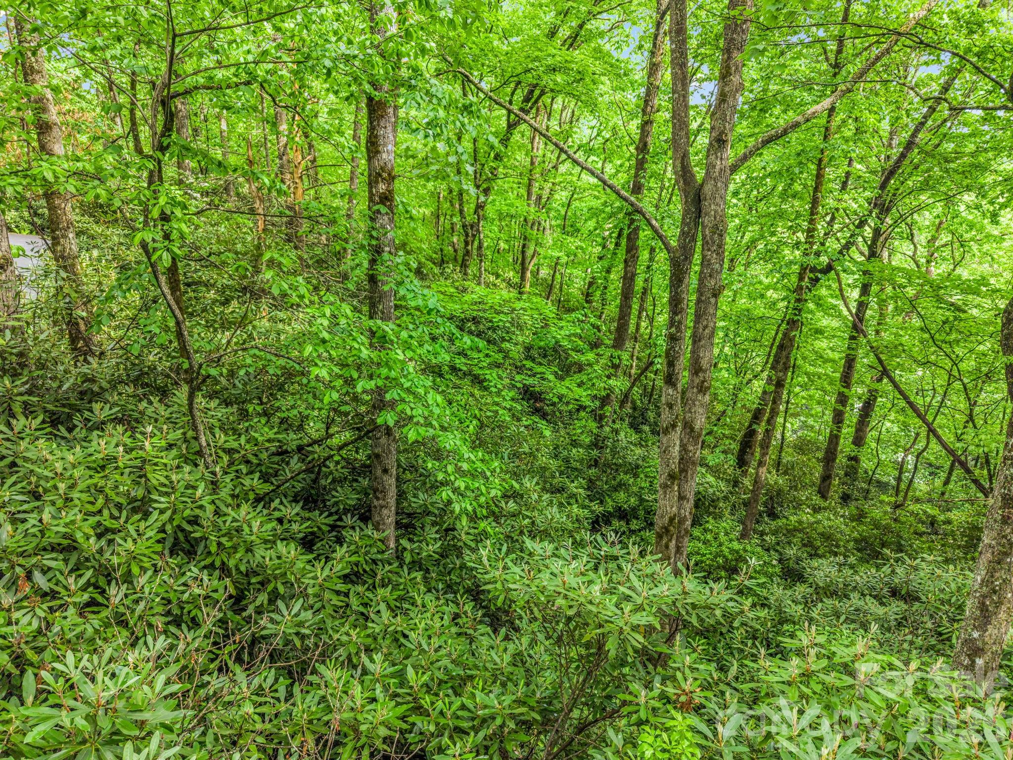 Tbd Toxaway Trail 14/3 Property Photo 34
