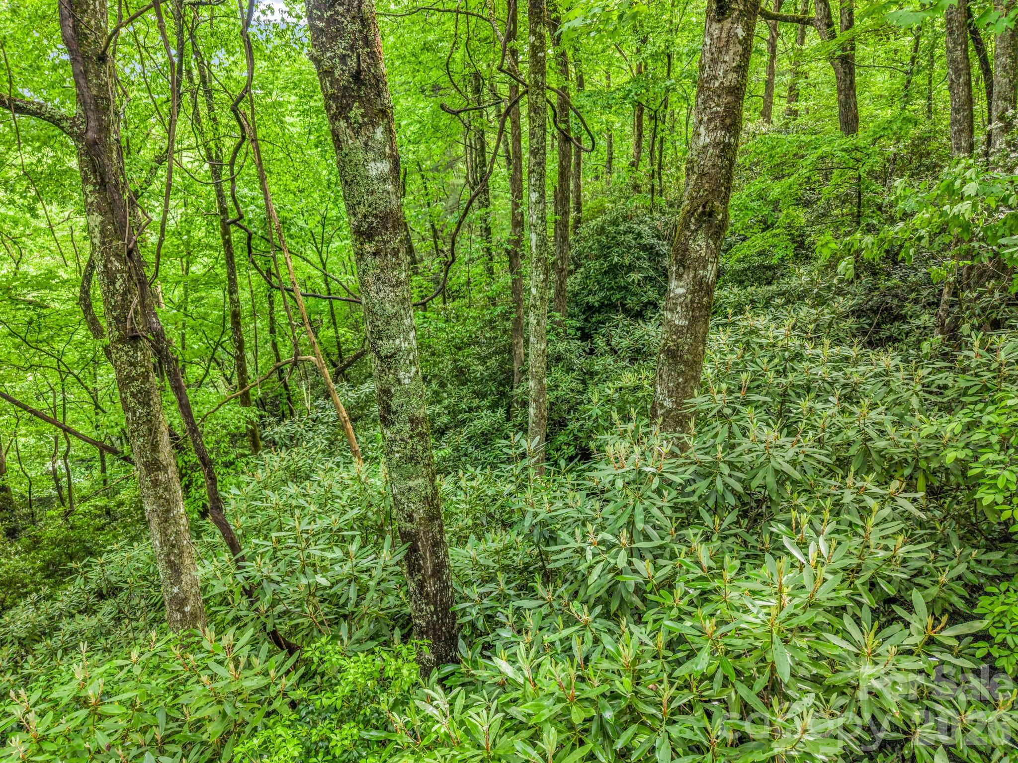 Tbd Toxaway Trail 14/3 Property Photo 35