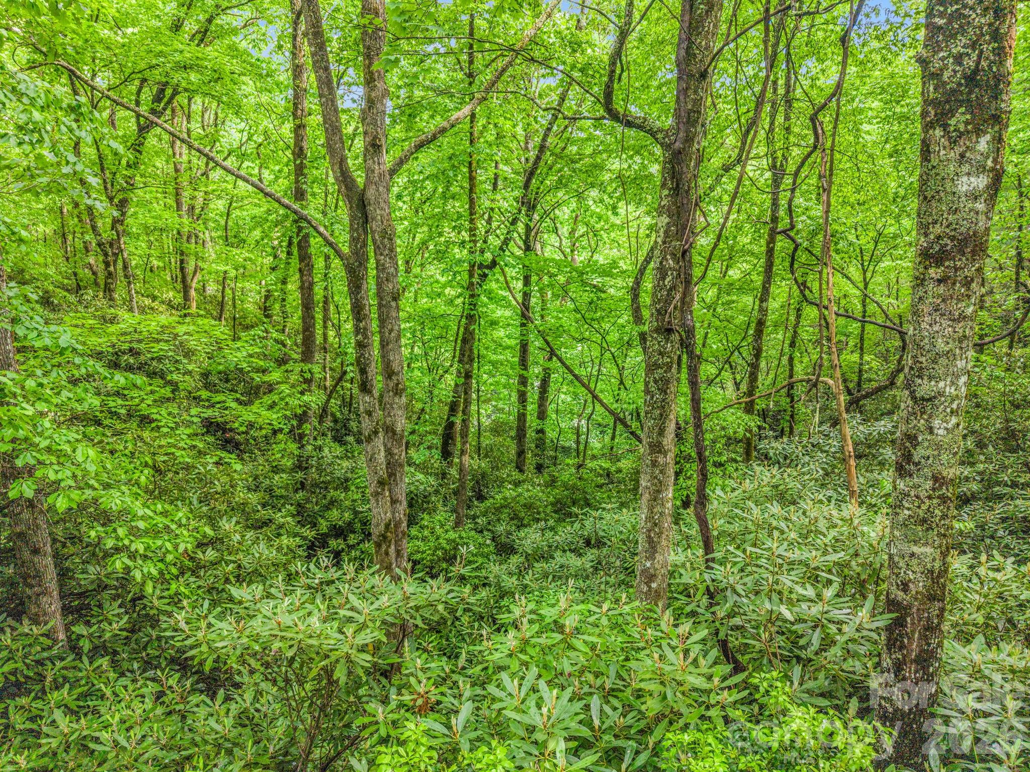 Tbd Toxaway Trail 14/3 Property Photo 36