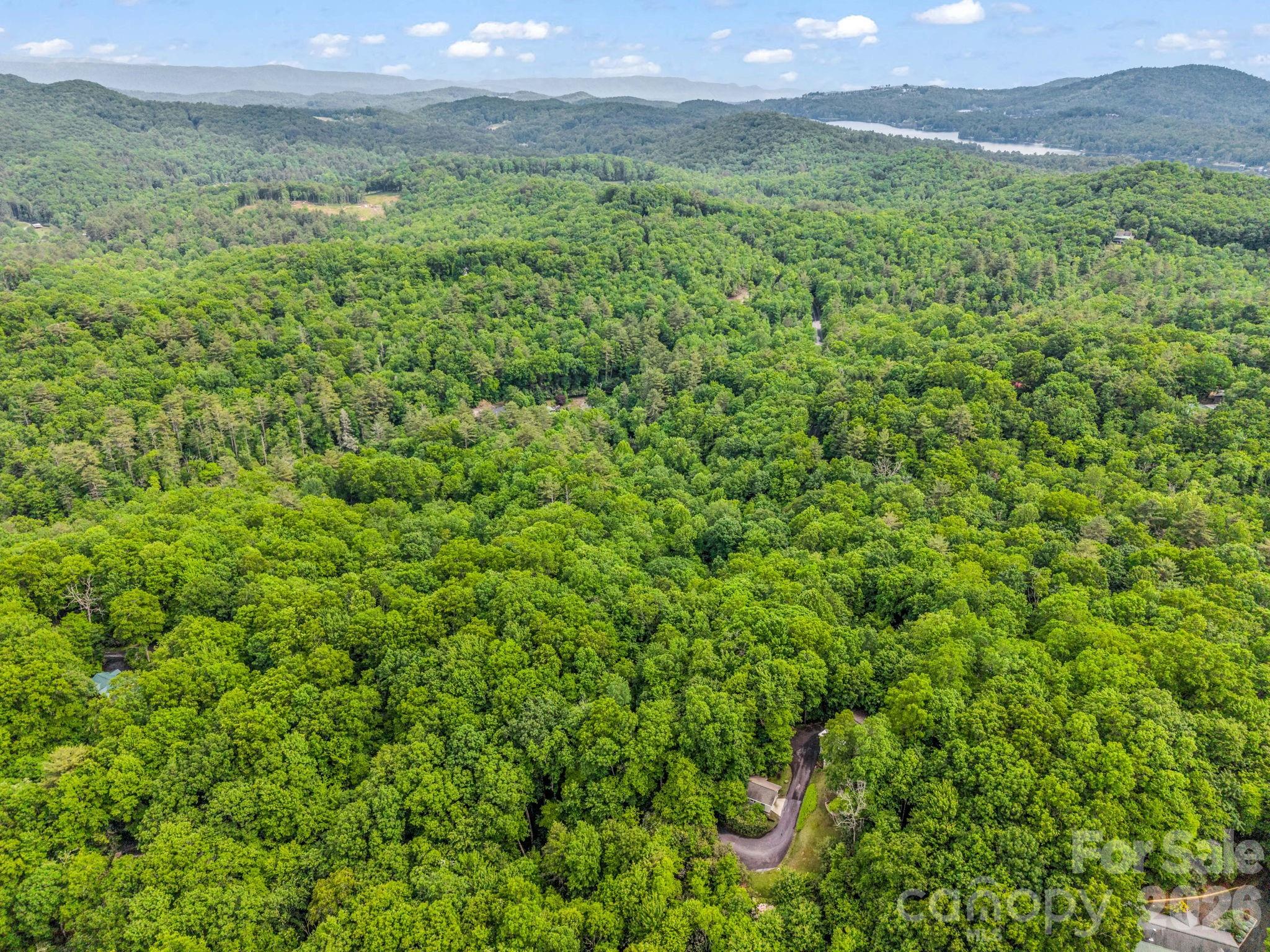 Tbd Toxaway Trail 14/3 Property Photo 37
