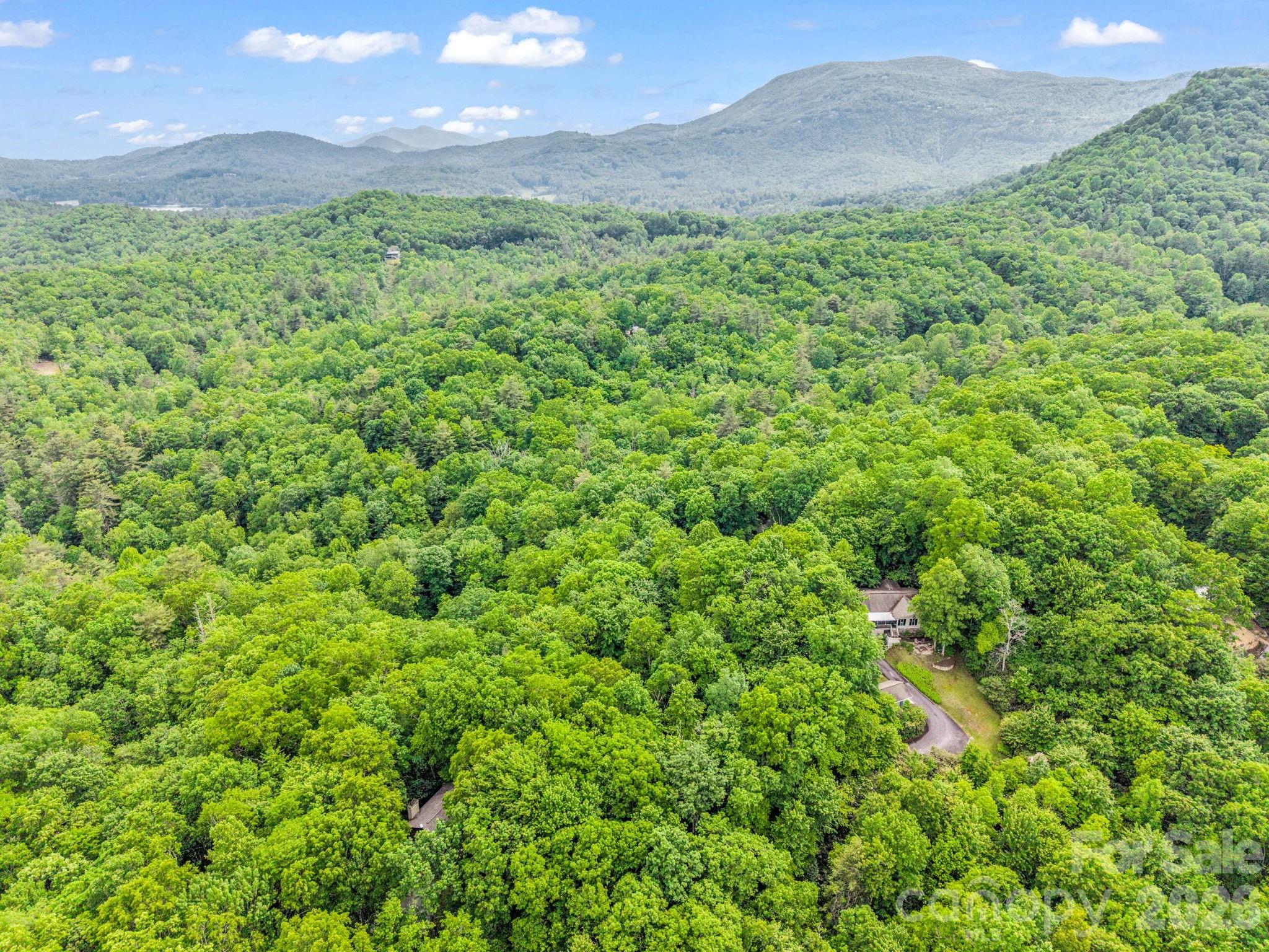 Tbd Toxaway Trail 14/3 Property Photo 38
