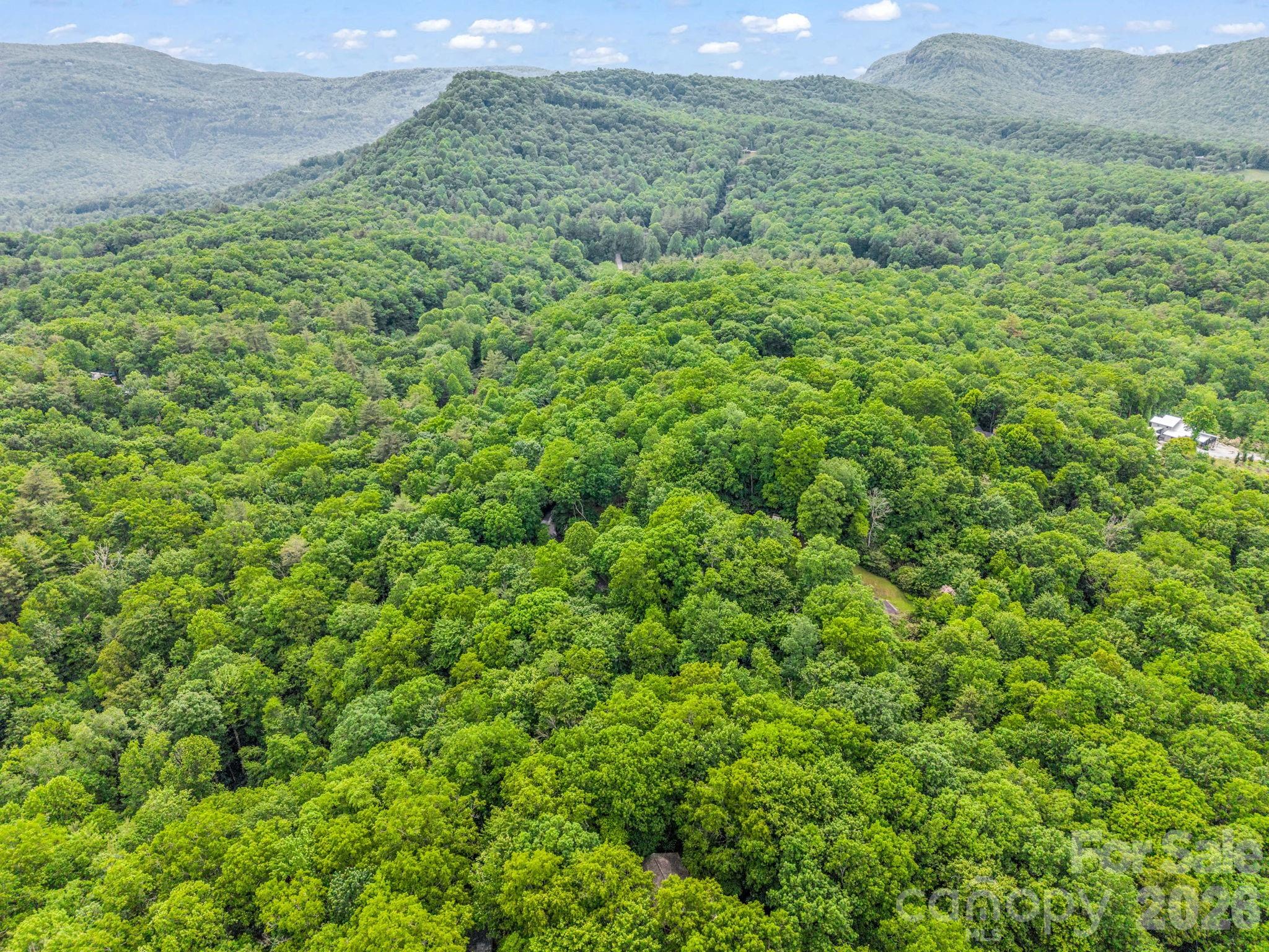 Tbd Toxaway Trail 14/3 Property Photo 39