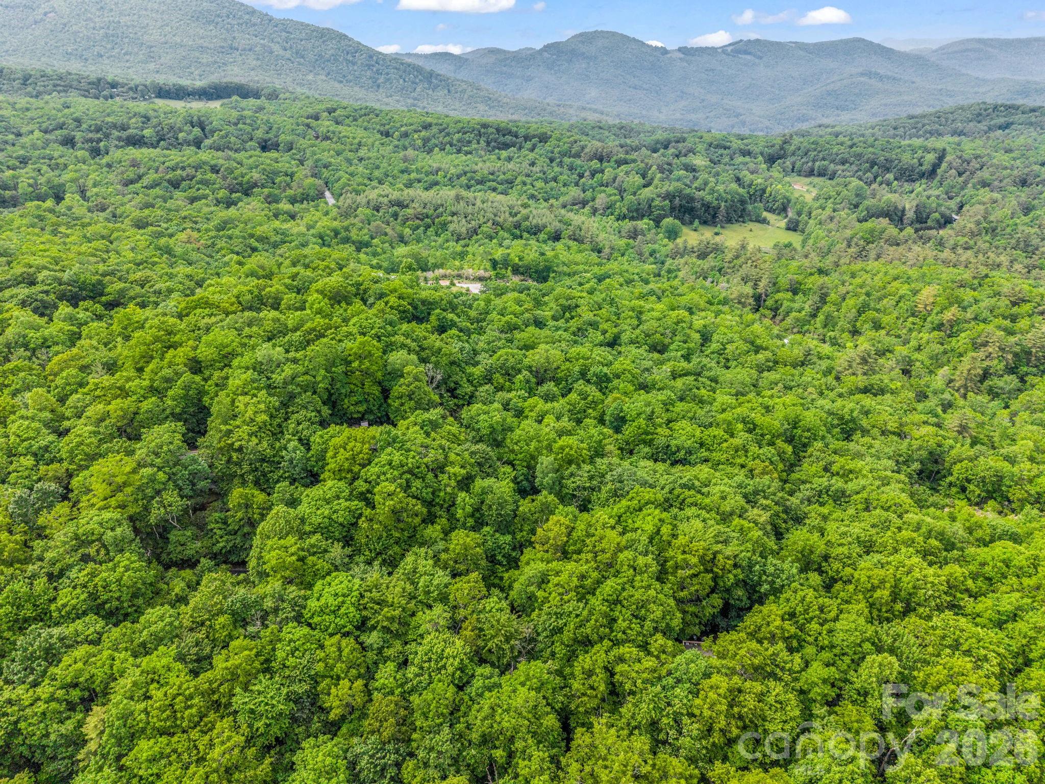 Tbd Toxaway Trail 14/3 Property Photo 40