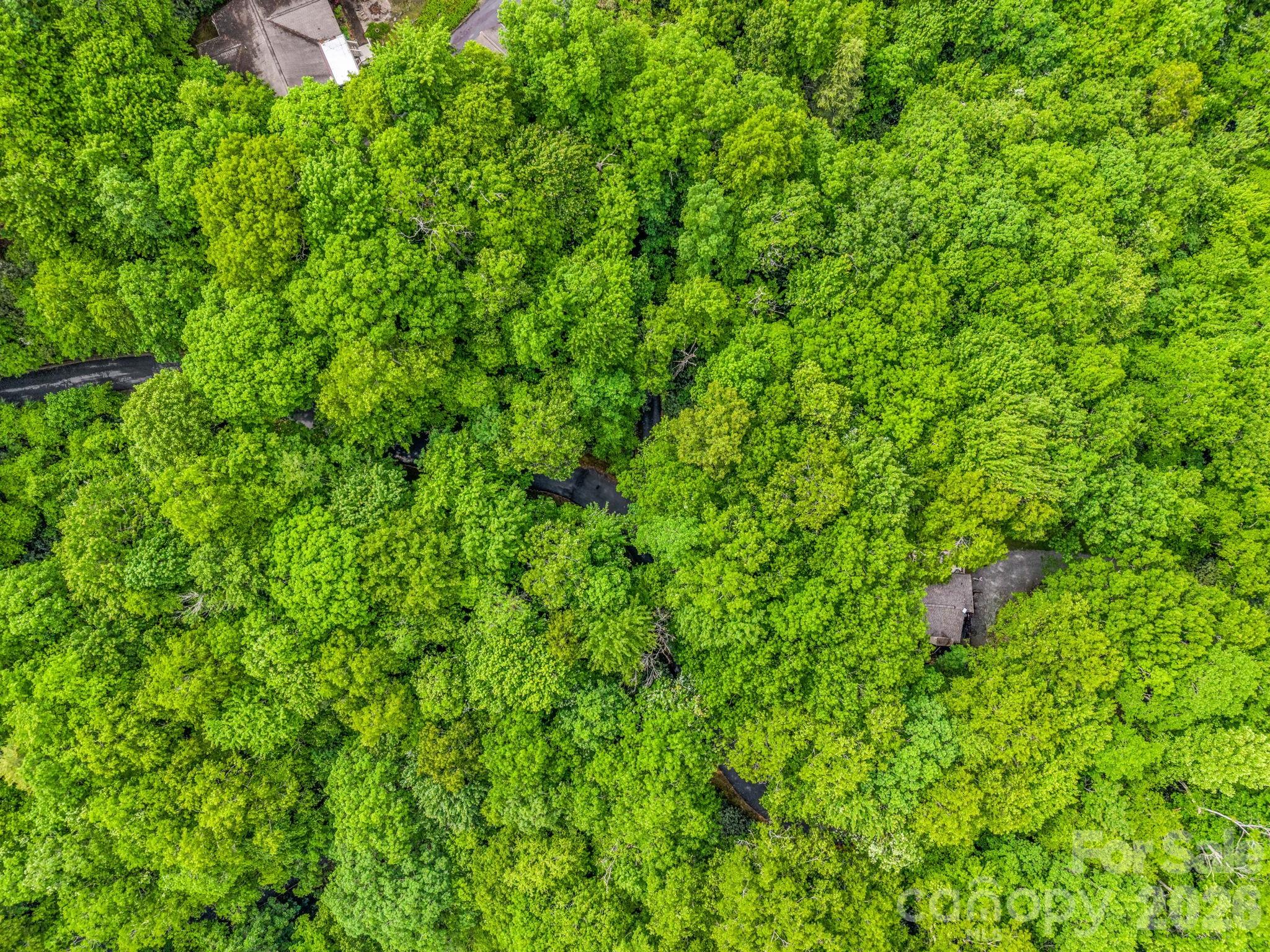 Tbd Toxaway Trail 14/3 Property Photo 41