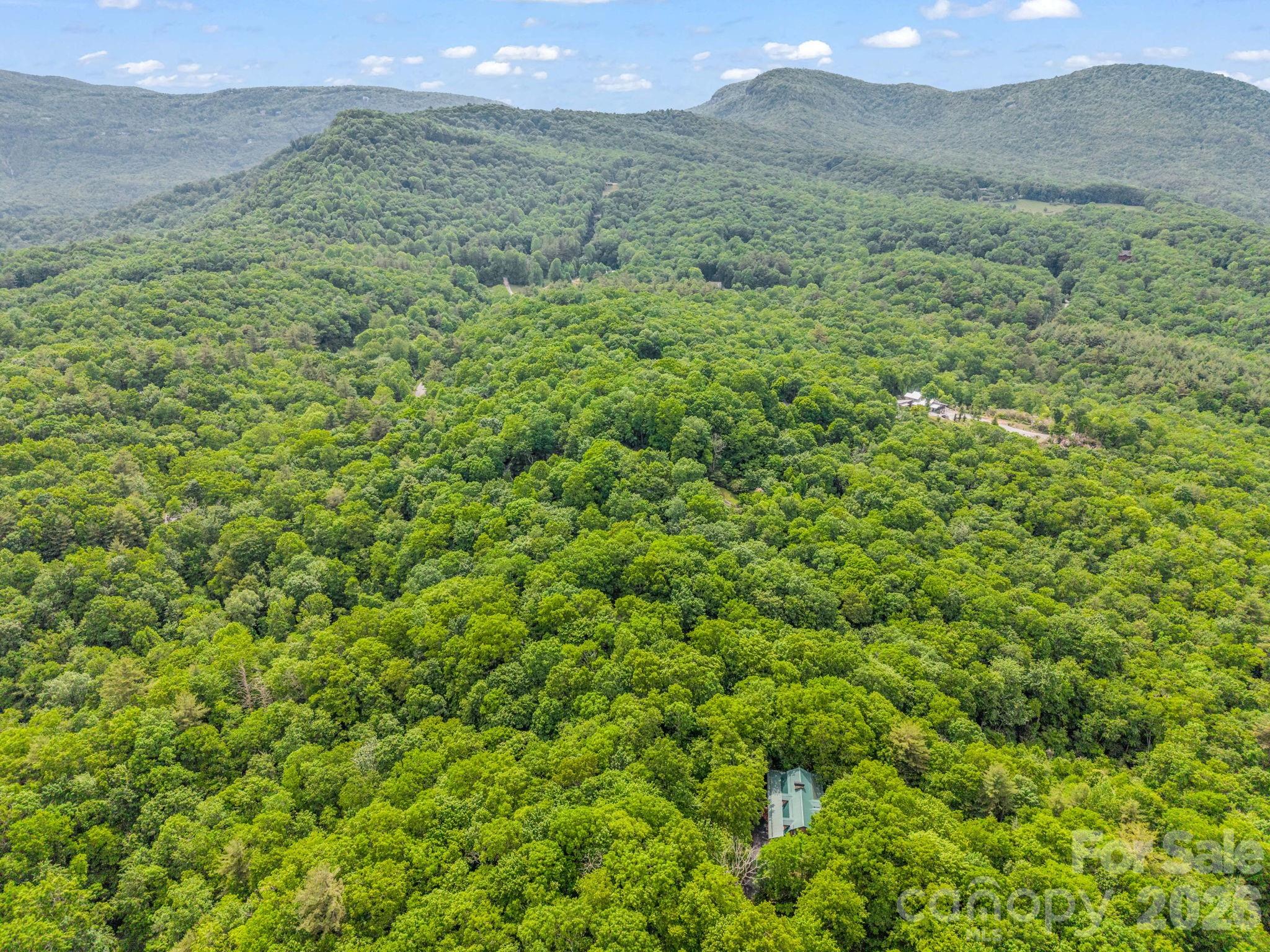 Tbd Toxaway Trail 14/3 Property Photo 45