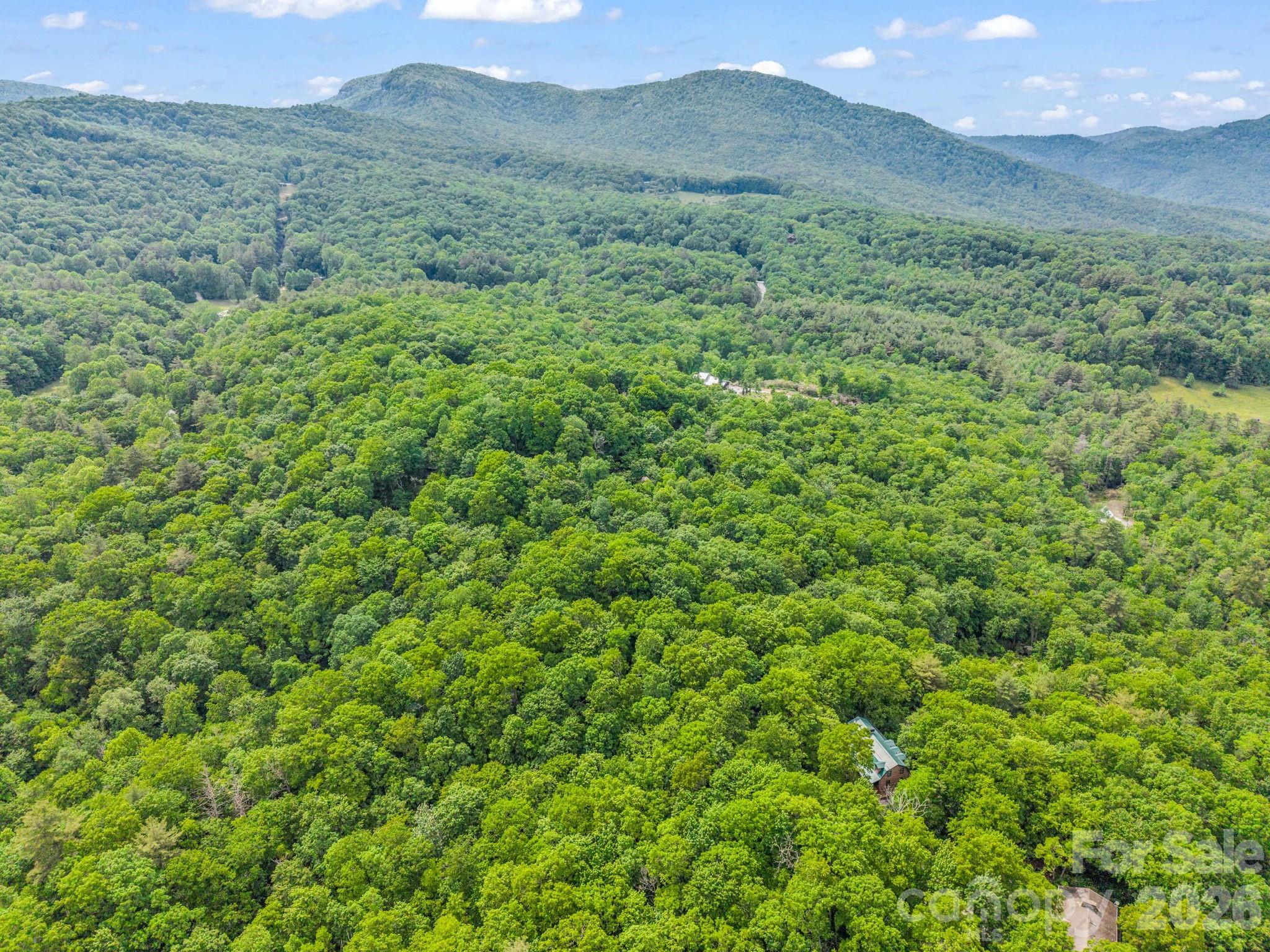 Tbd Toxaway Trail 14/3 Property Photo 46