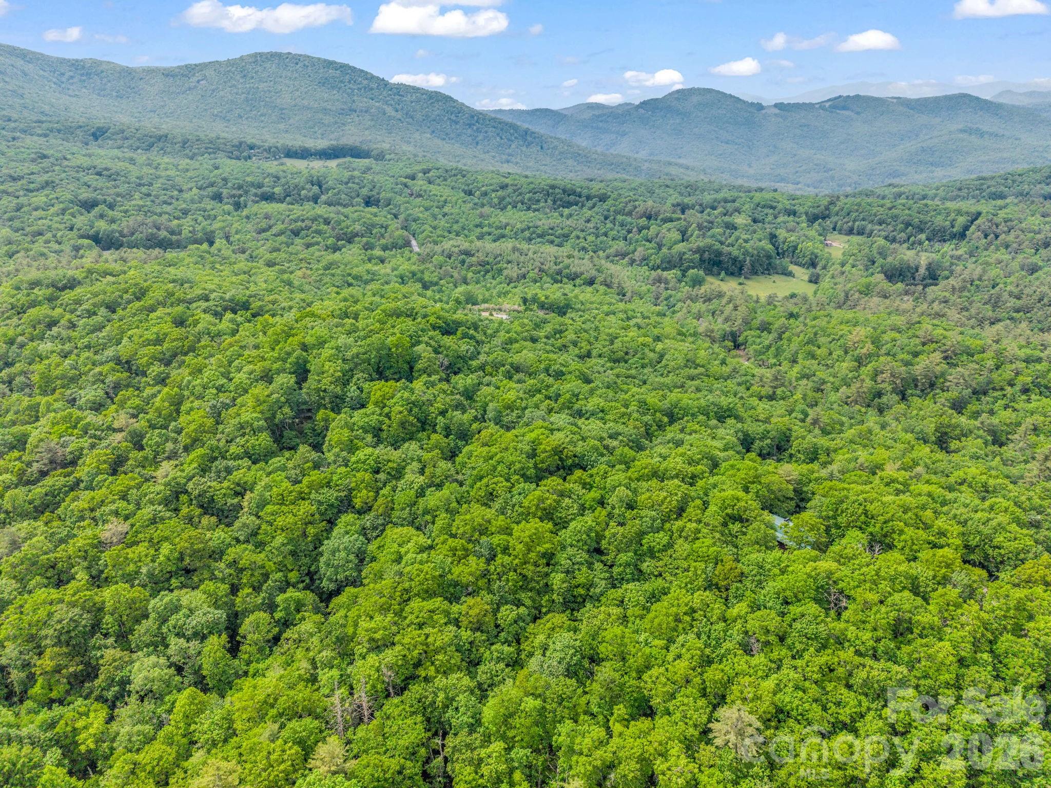 Tbd Toxaway Trail 14/3 Property Photo 47