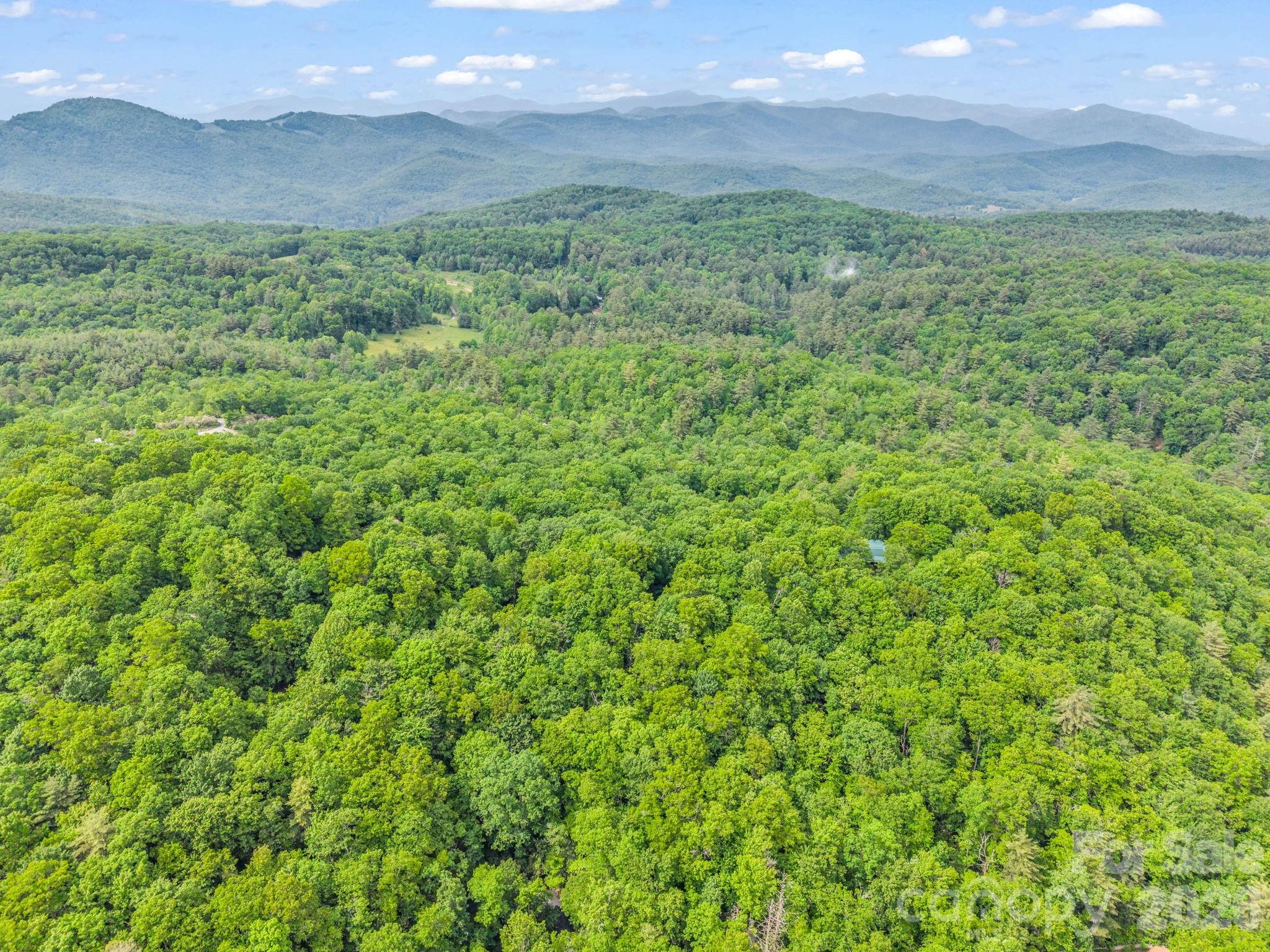 Tbd Toxaway Trail 14/3 Property Photo 48