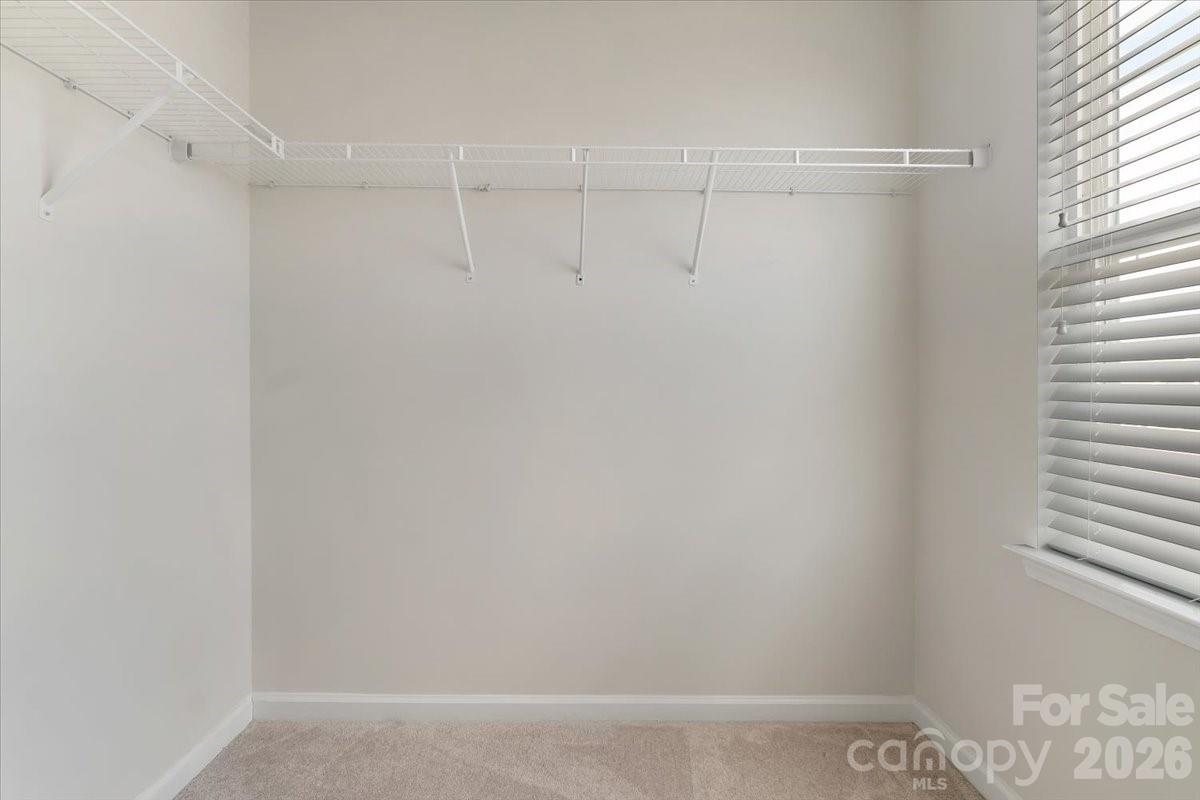 2311 Abundance Lane Property Photo 38