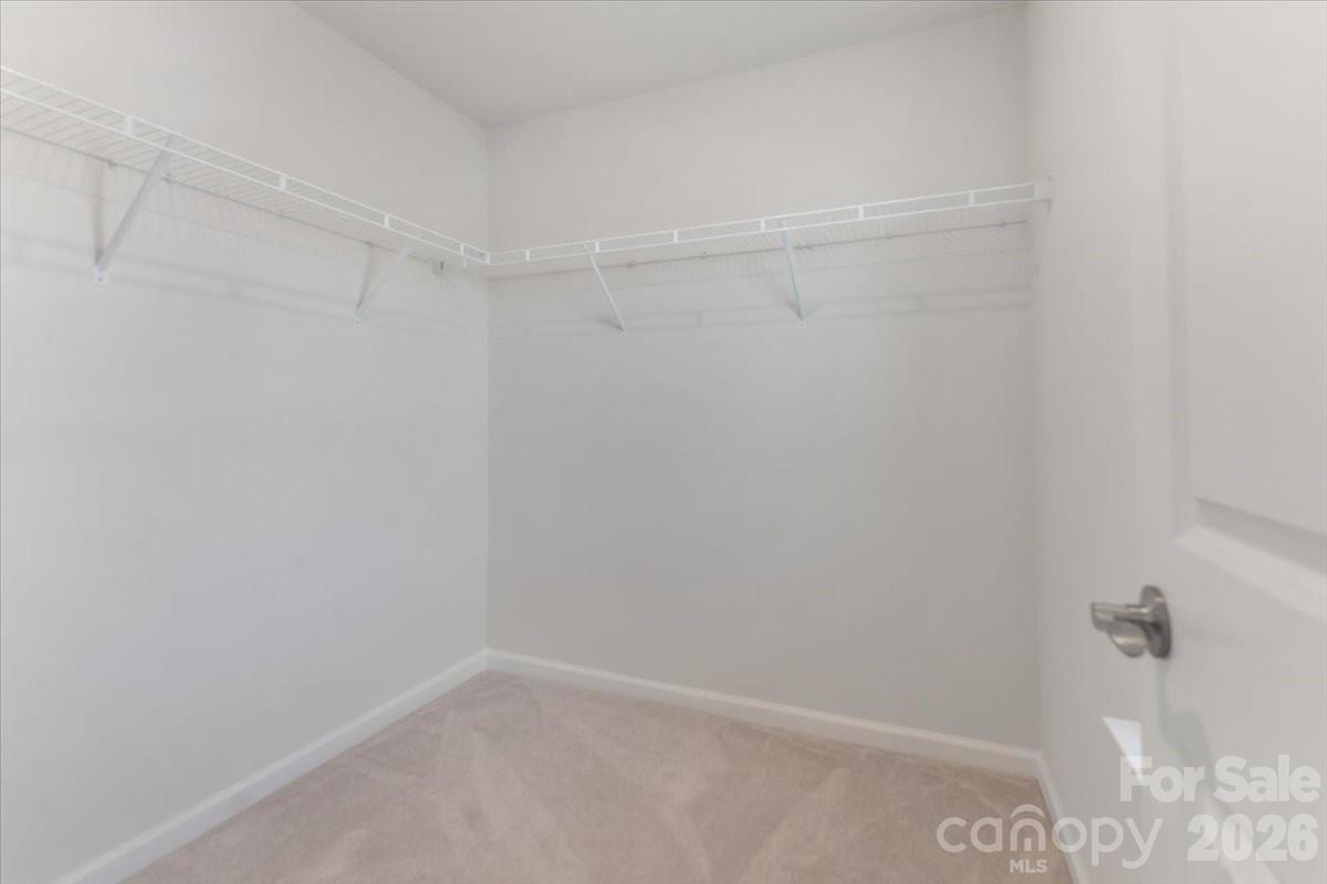 2311 Abundance Lane Property Photo 44