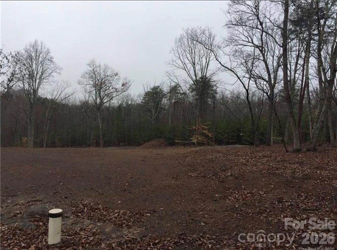 123 Hunters Field Way Property Photo 1