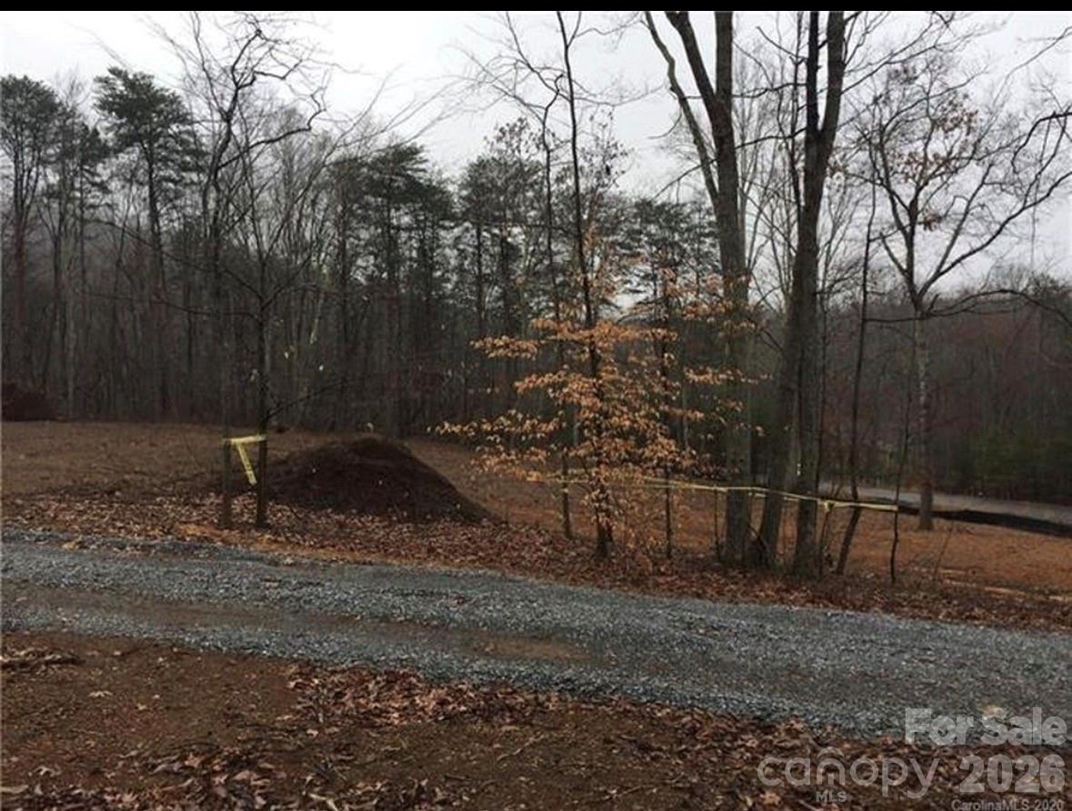 123 Hunters Field Way Property Photo 2