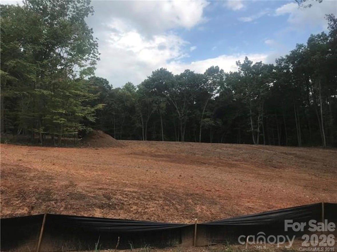 123 Hunters Field Way Property Photo 4