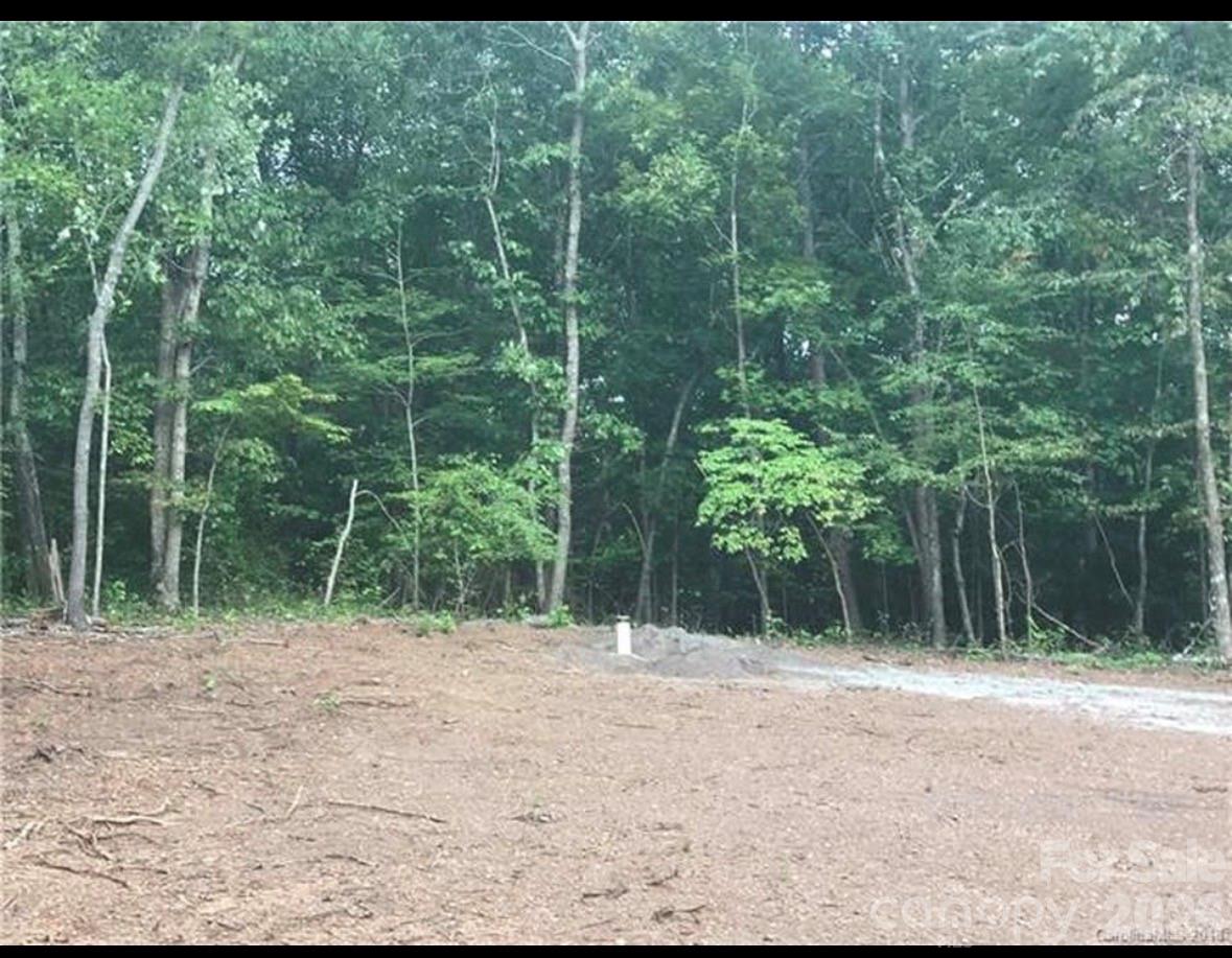 123 Hunters Field Way Property Photo 5