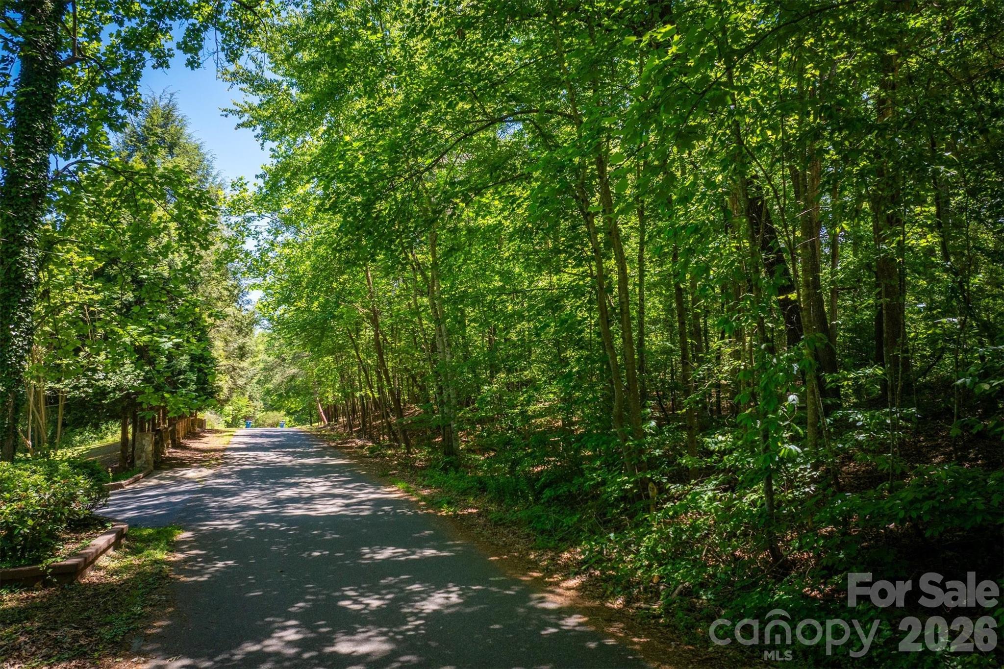 3835 Oak Drive Property Photo 2