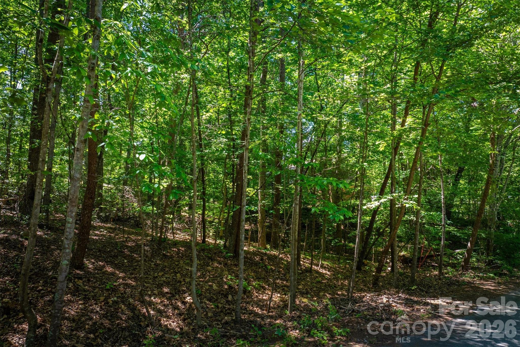 3835 Oak Drive Property Photo 4