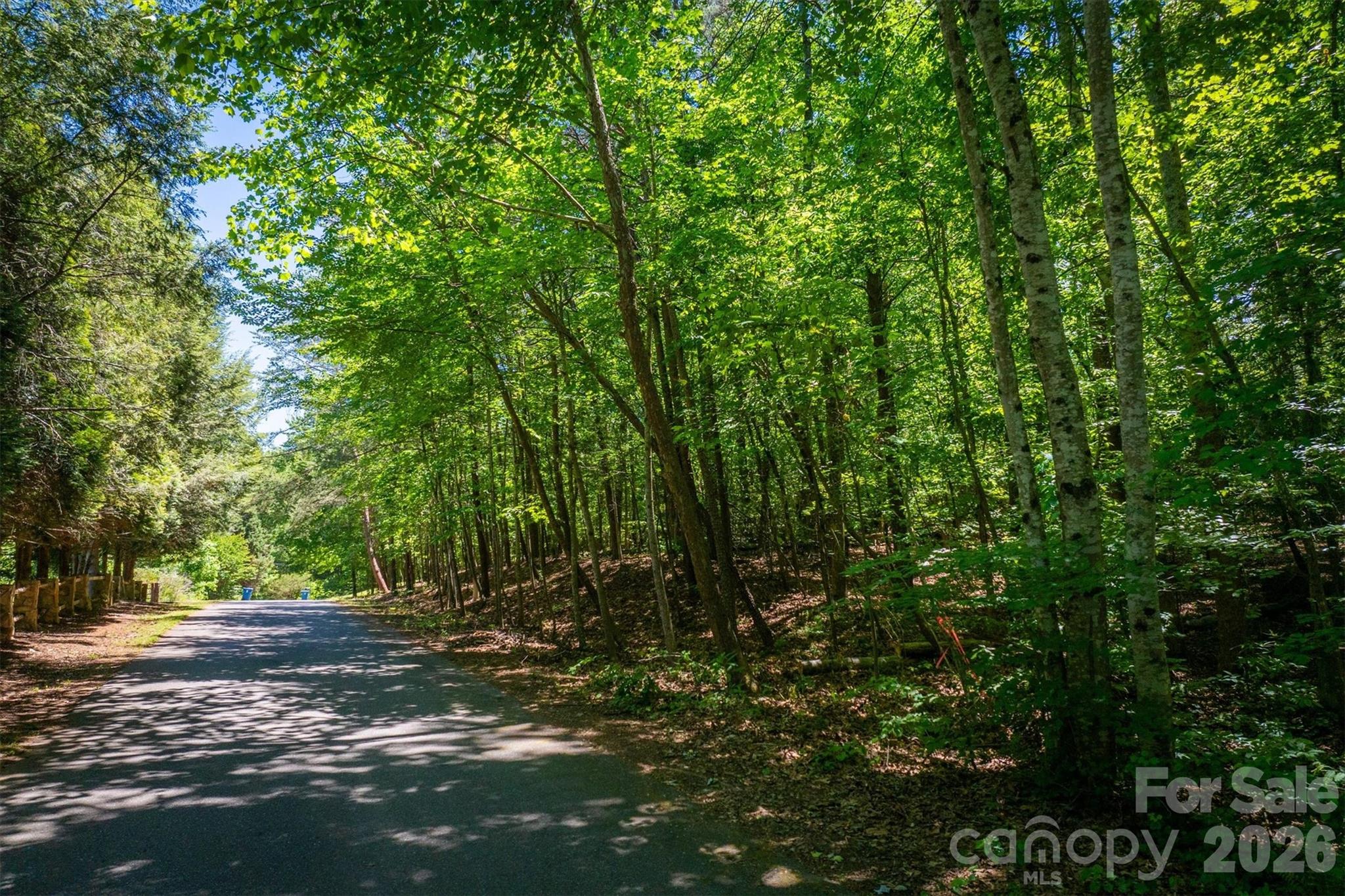 3843 Oak Drive Property Photo 3