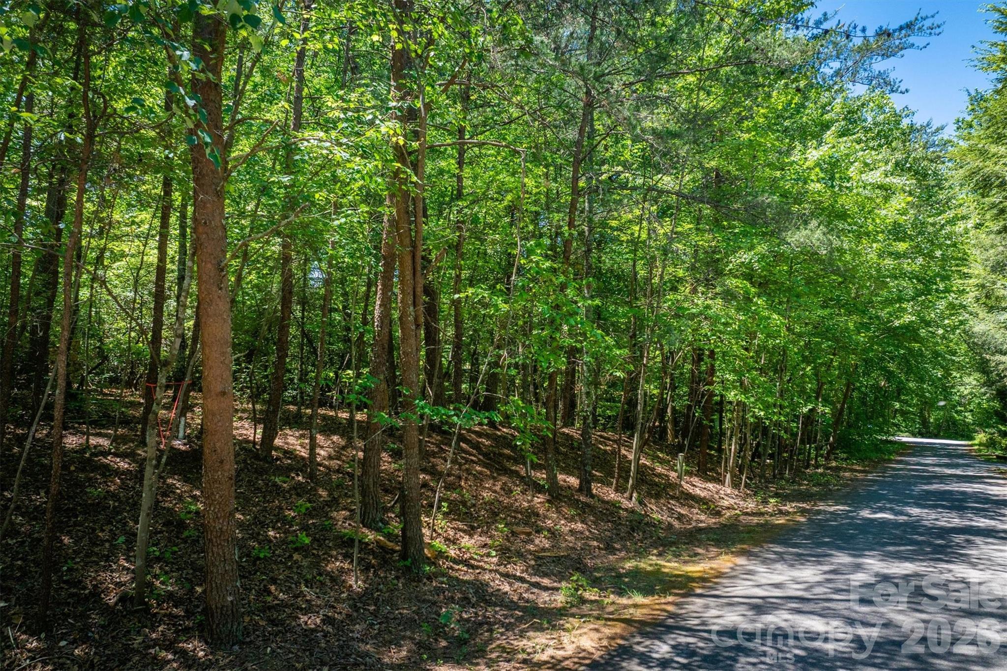 3843 Oak Drive Property Photo 4