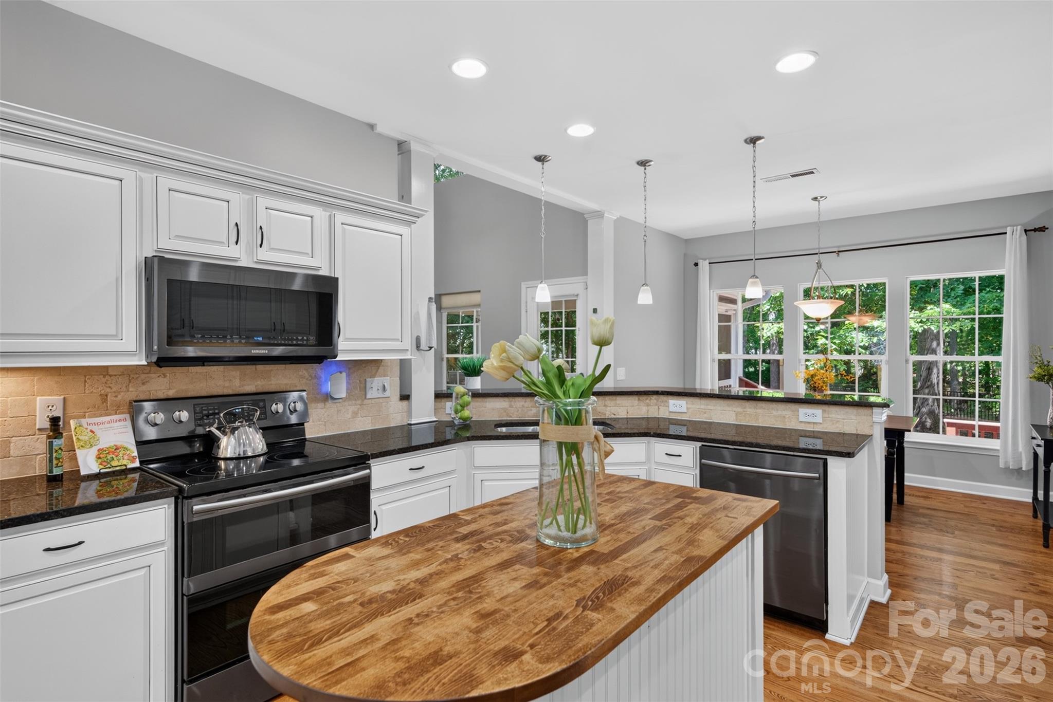 203 Elven Court Property Photo 11
