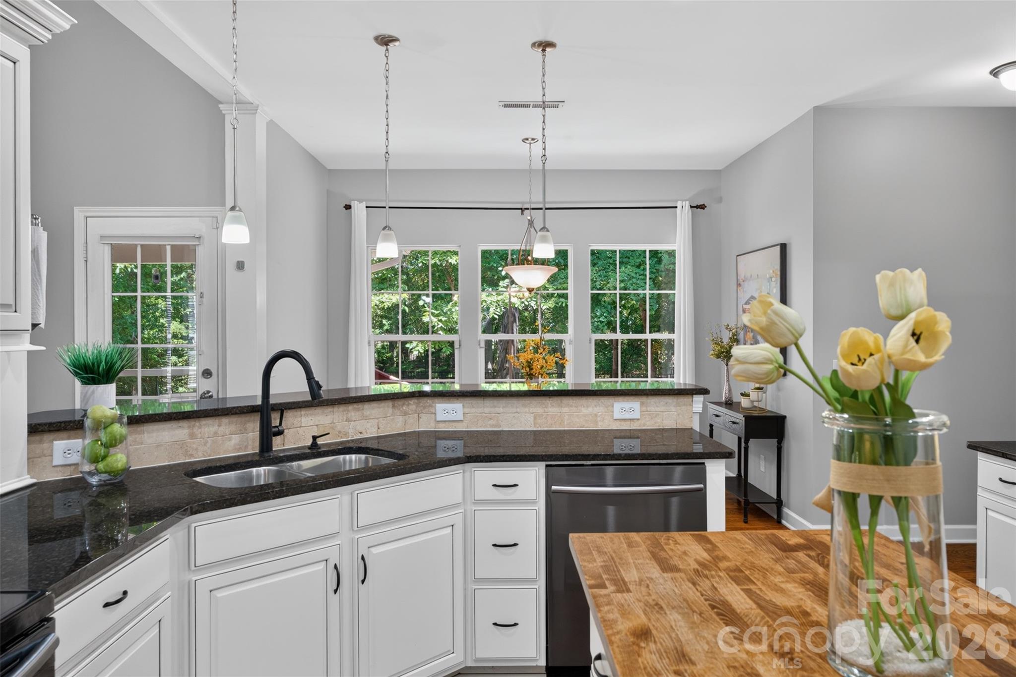 203 Elven Court Property Photo 14