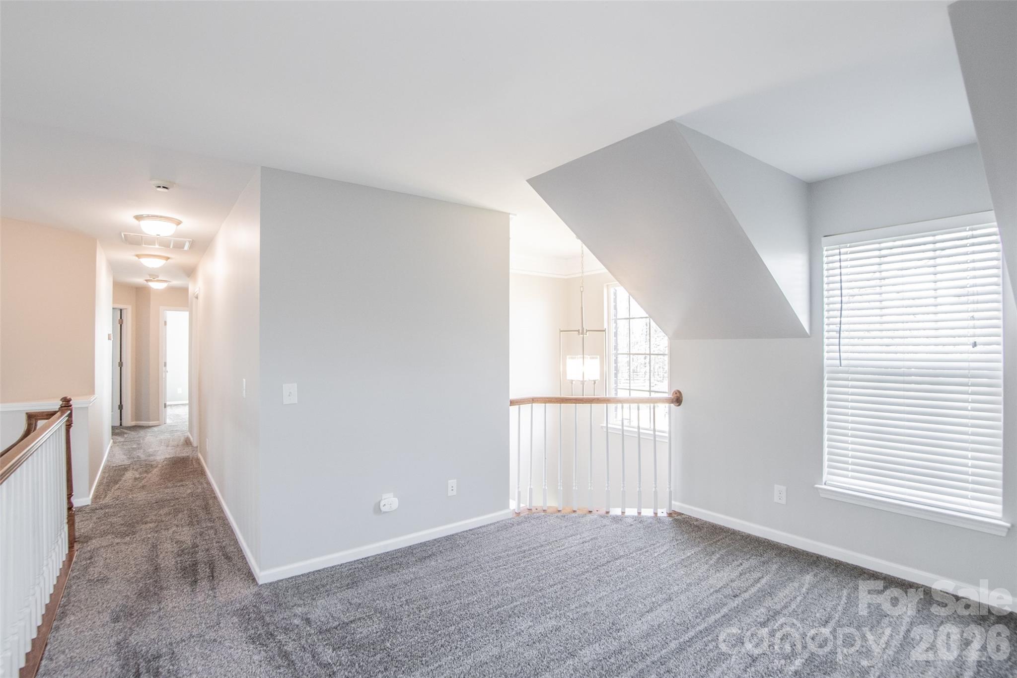 203 Elven Court Property Photo 27