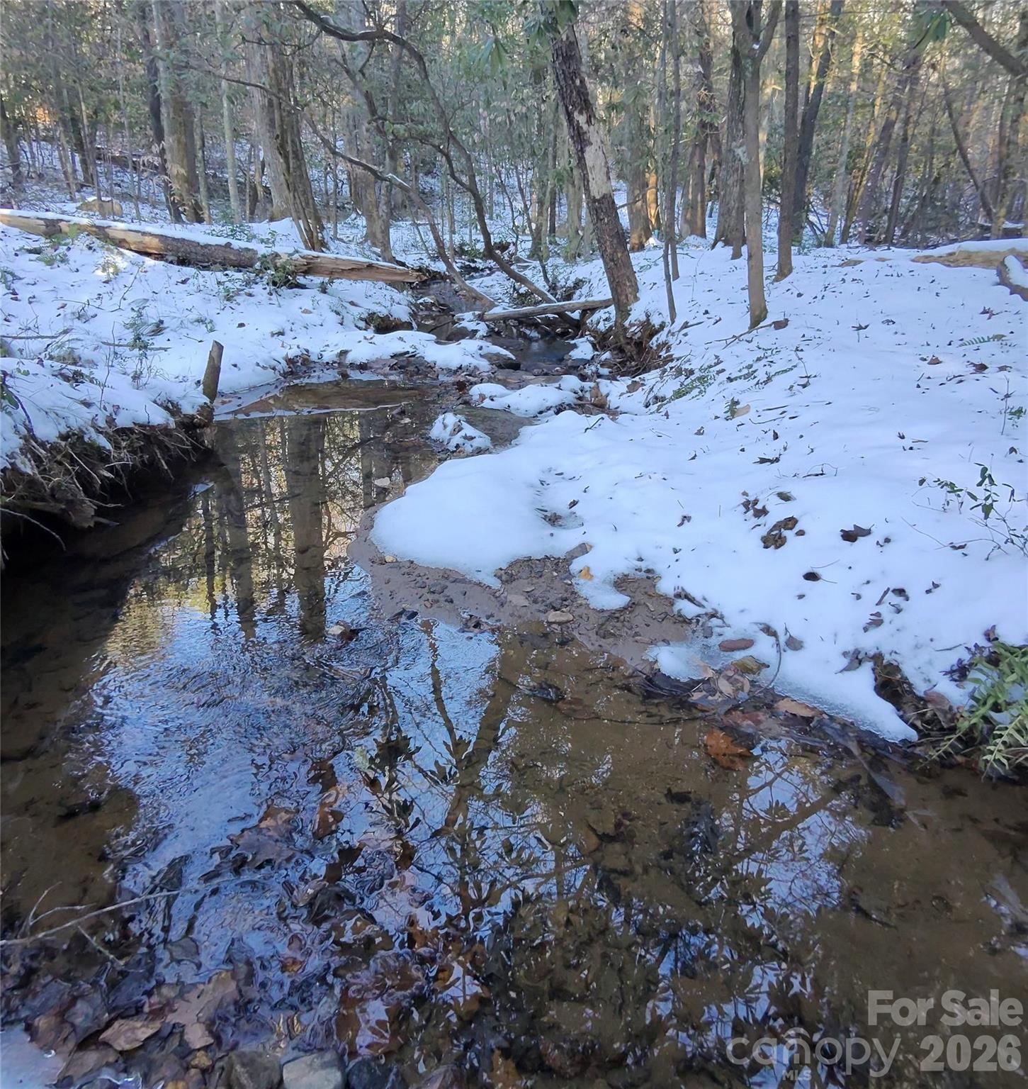 670 Cedar Creek Road Property Photo 4