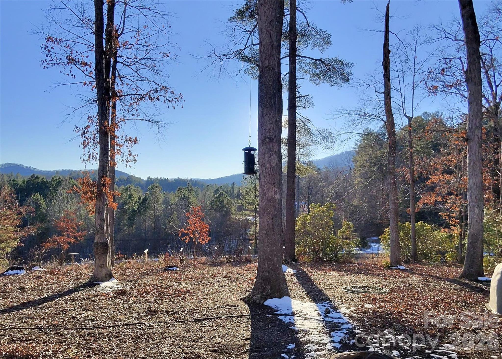 670 Cedar Creek Road Property Photo 8