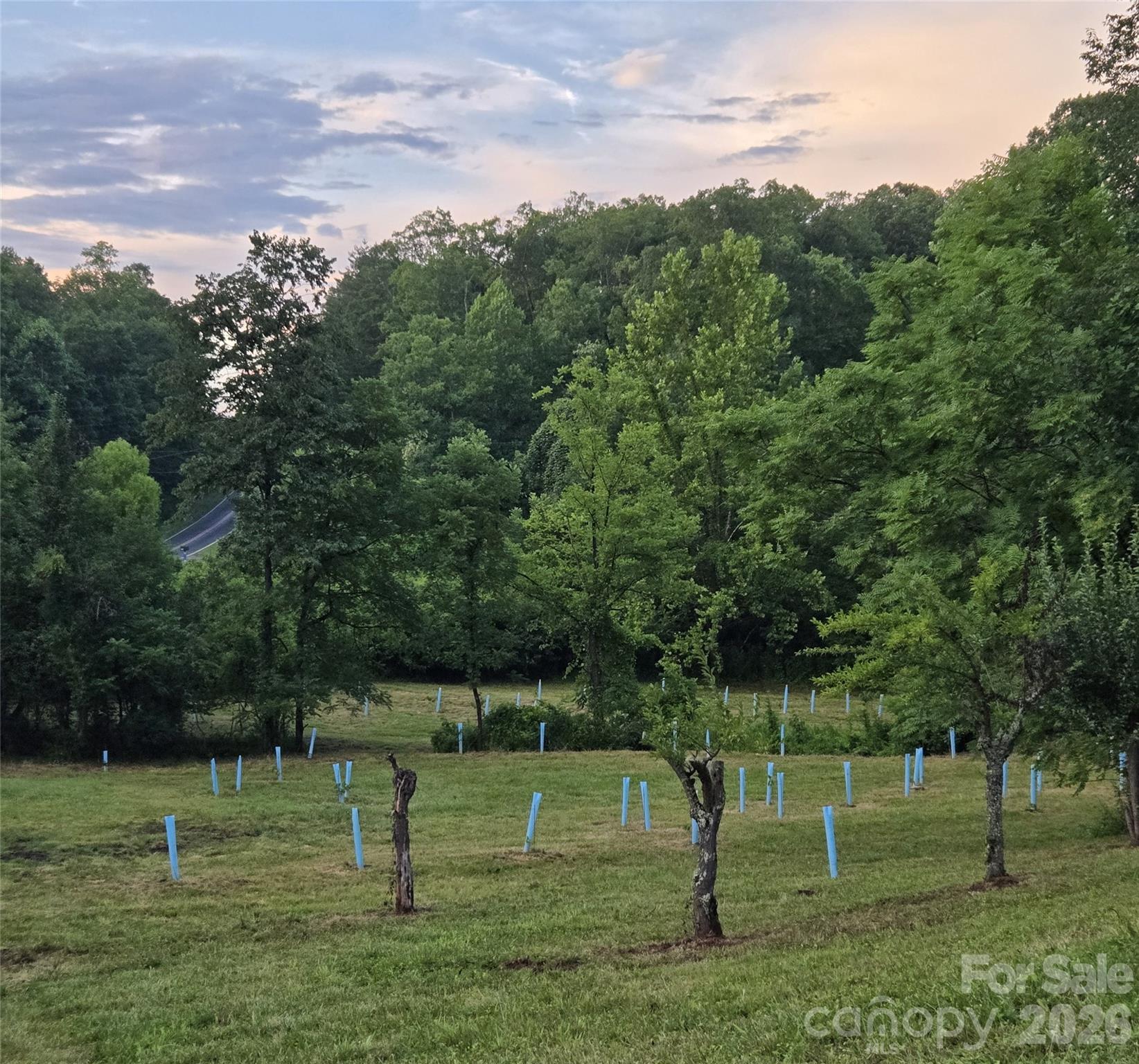 670 Cedar Creek Road Property Photo 11