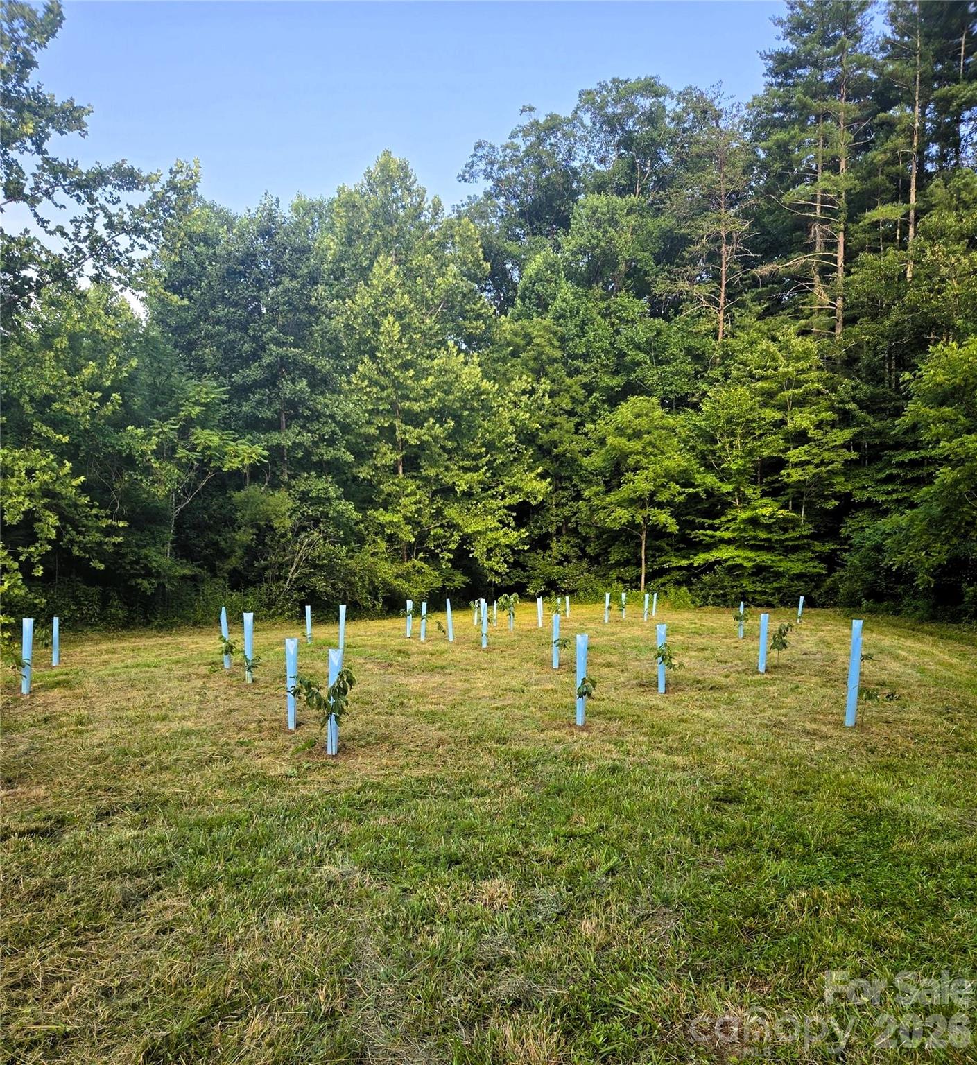 670 Cedar Creek Road Property Photo 12