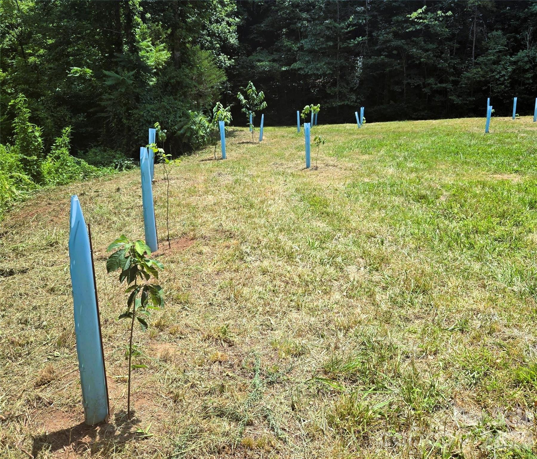 670 Cedar Creek Road Property Photo 13