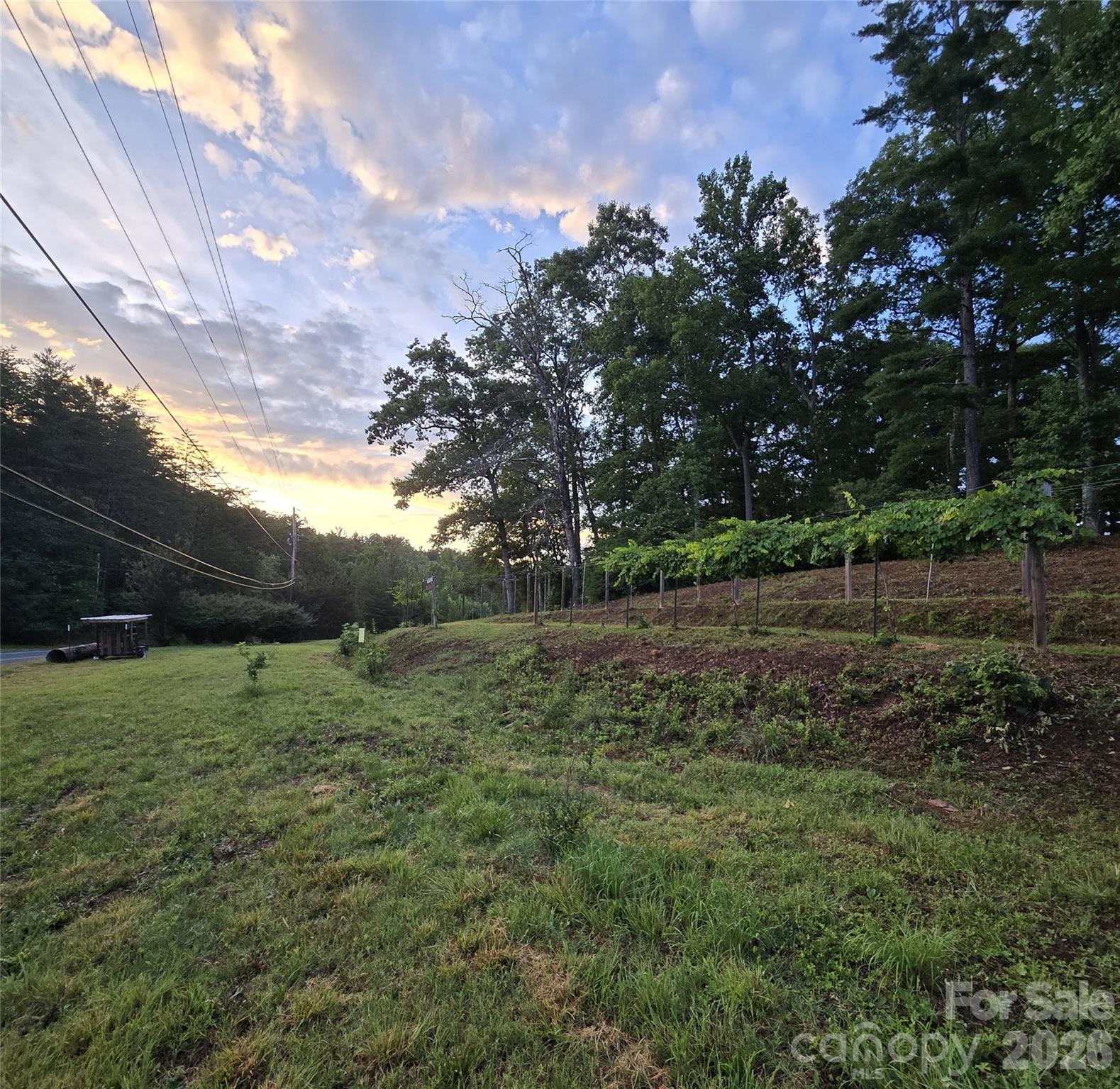 670 Cedar Creek Road Property Photo 20