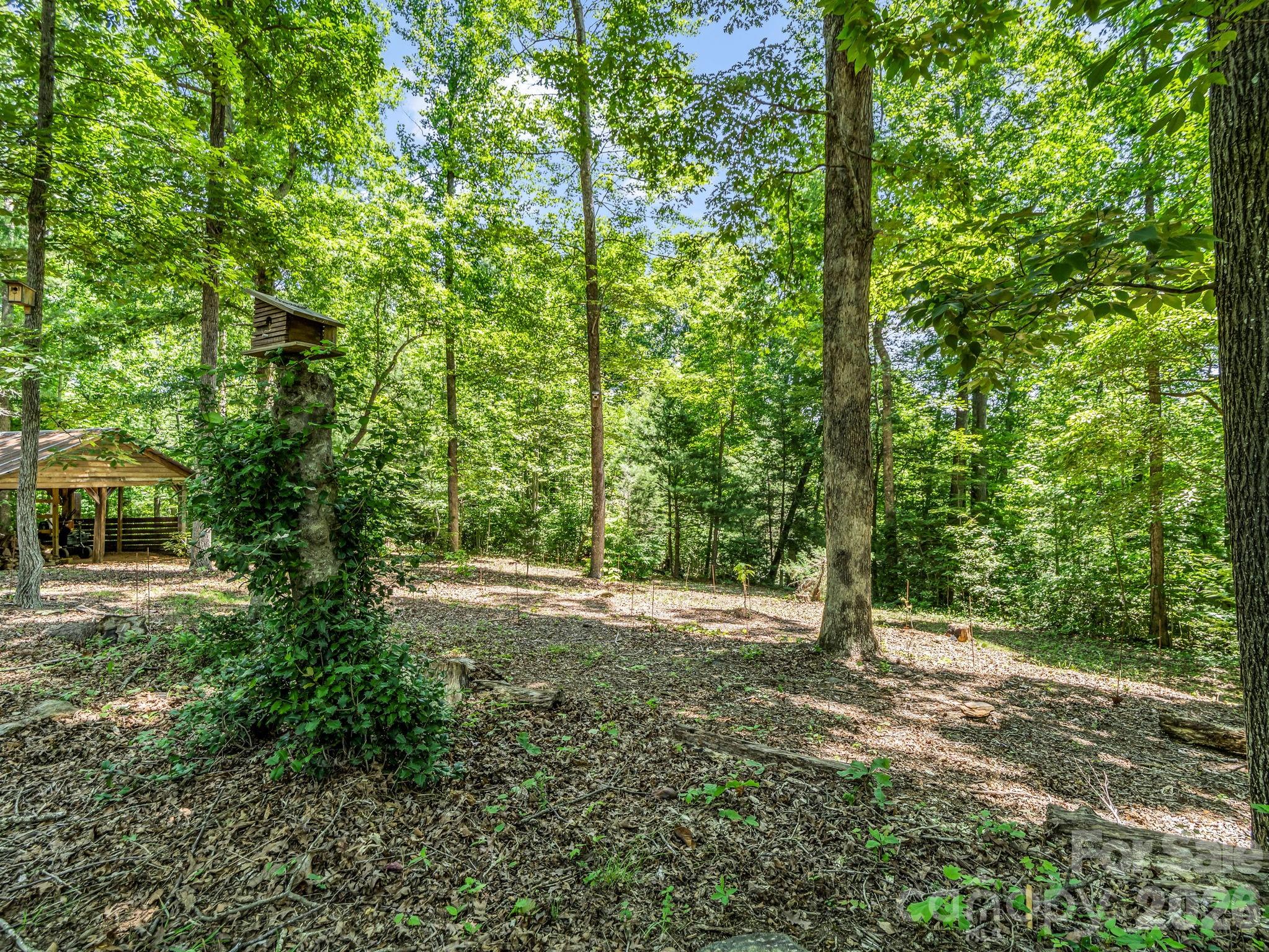670 Cedar Creek Road Property Photo 35
