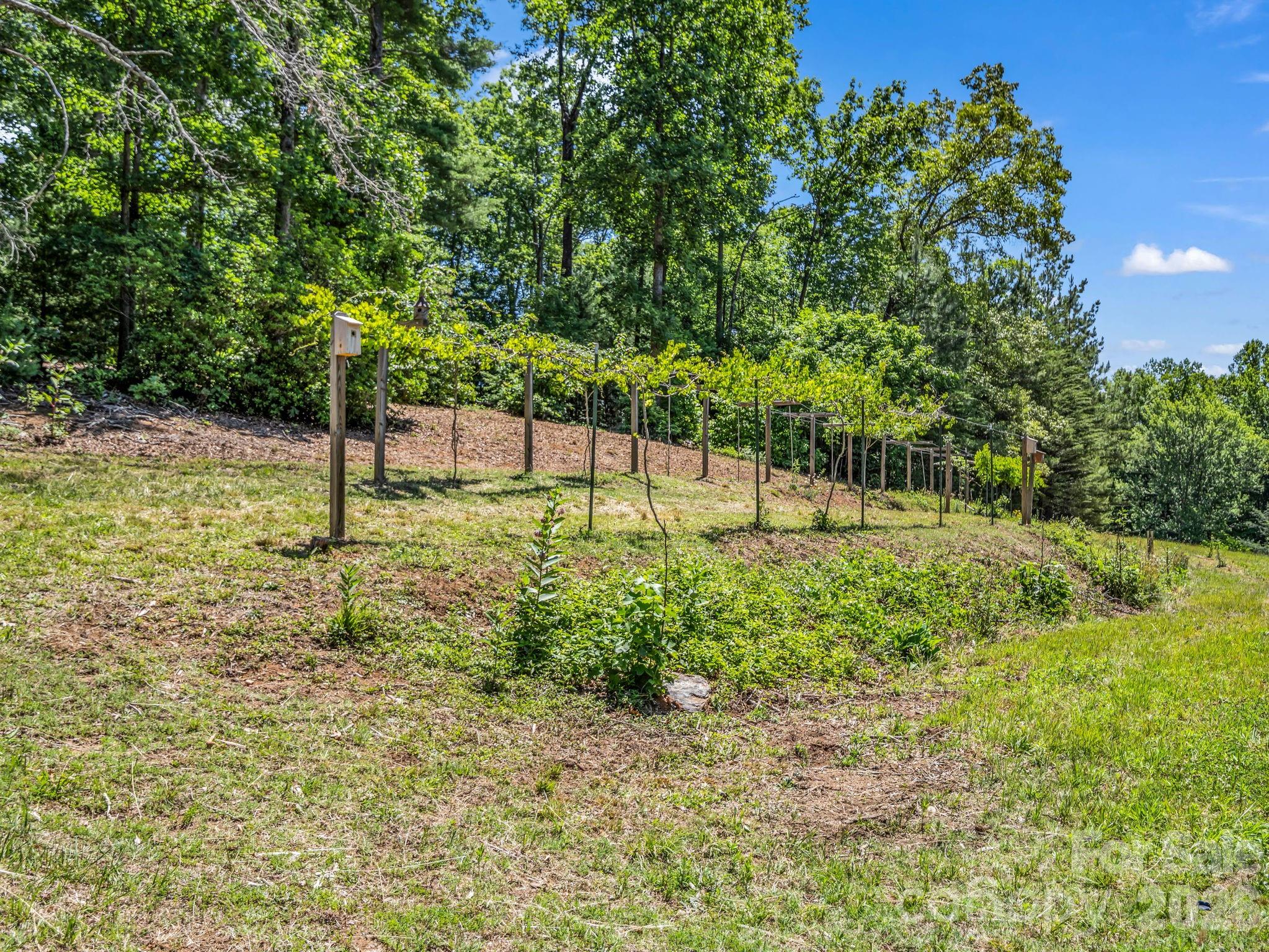 670 Cedar Creek Road Property Photo 39