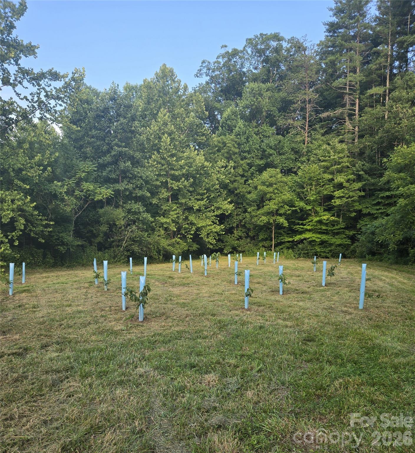 670 Cedar Creek Road Property Photo 43