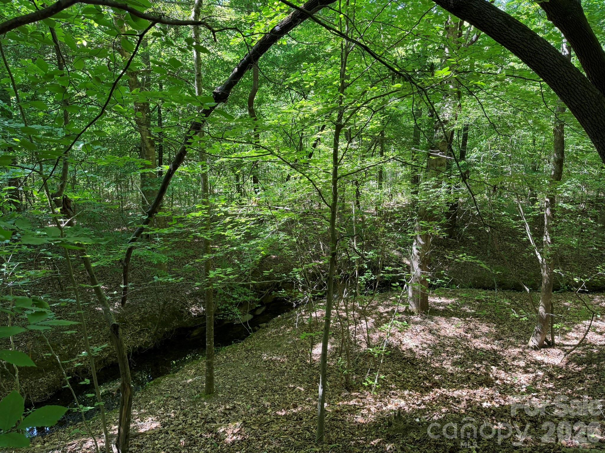 382 Alexis High Shoals Road Property Photo 37