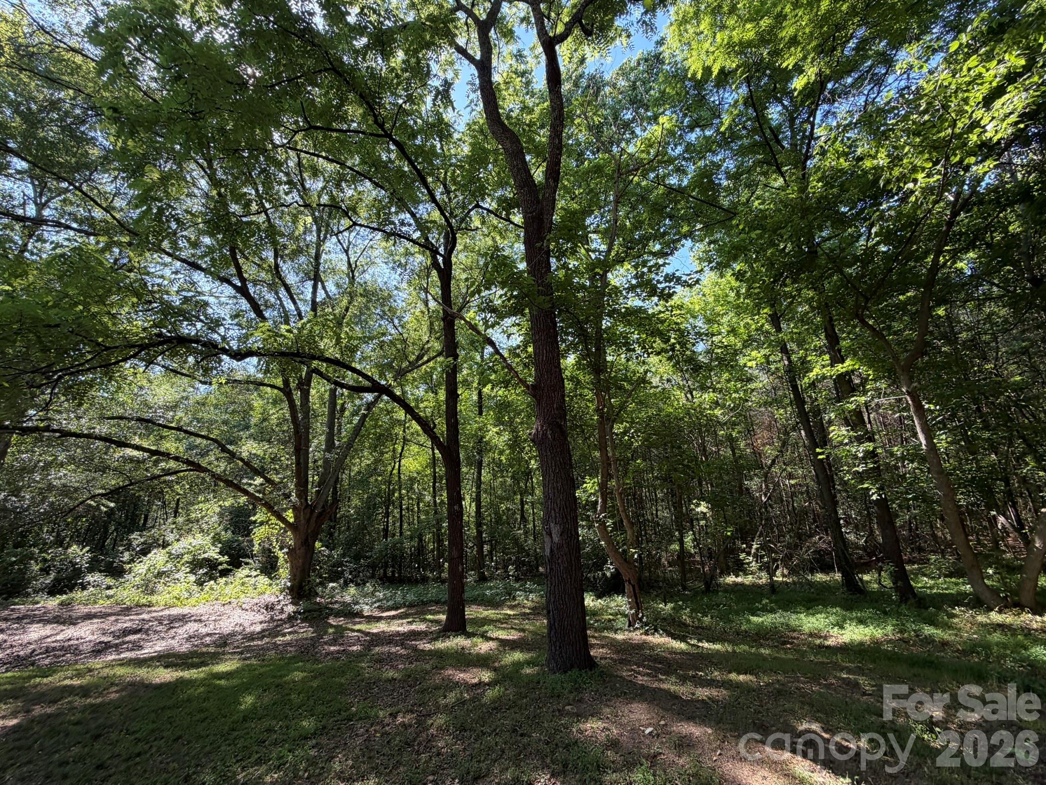 382 Alexis High Shoals Road Property Photo 39