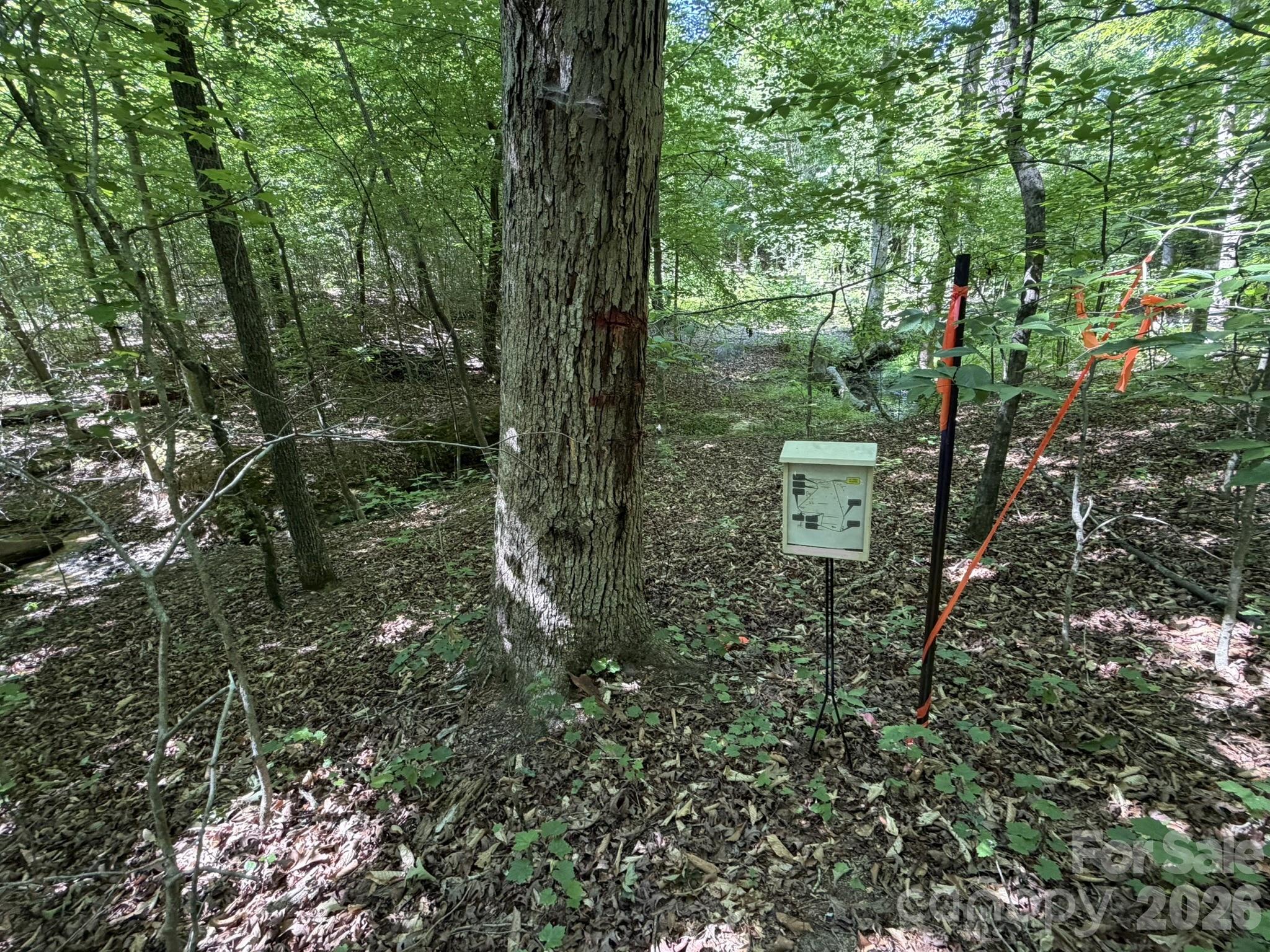 382 Alexis High Shoals Road Property Photo 43