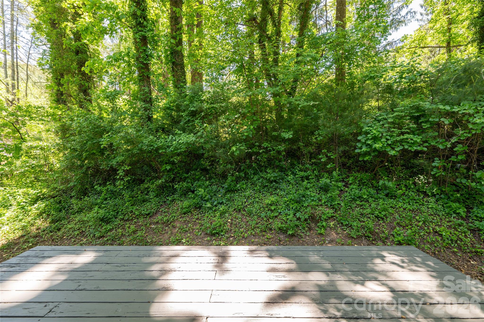 1 Beaverdam Knoll Road Property Photo 35