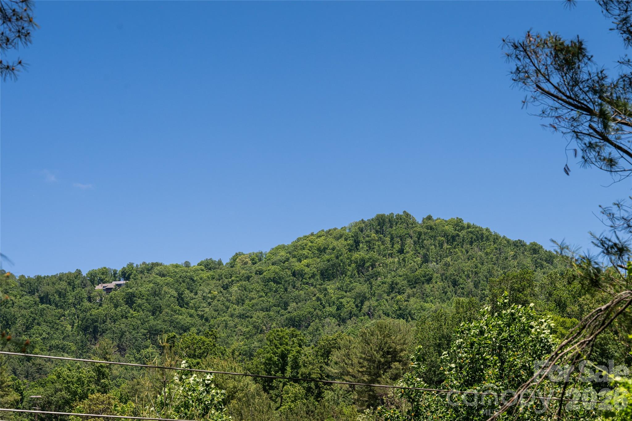 1 Beaverdam Knoll Road Property Photo 40